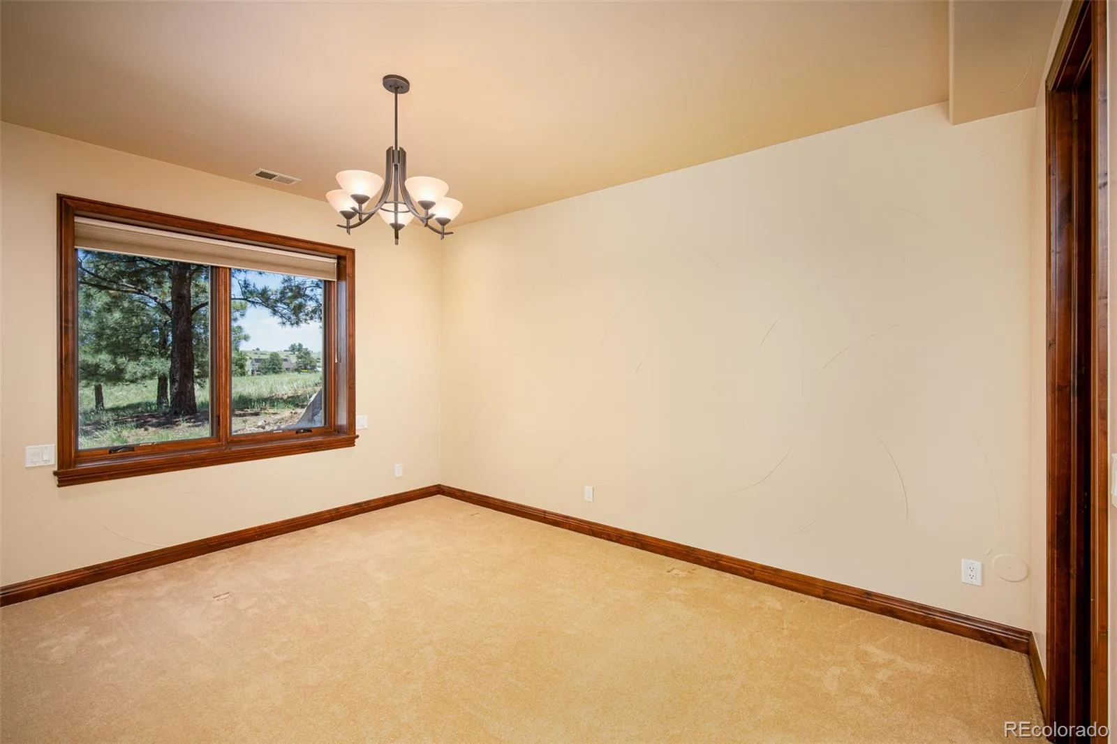 9677 Sara Gulch Circle Parker CO 80138 | MLS #REC7184482 06252026013023 1600 45