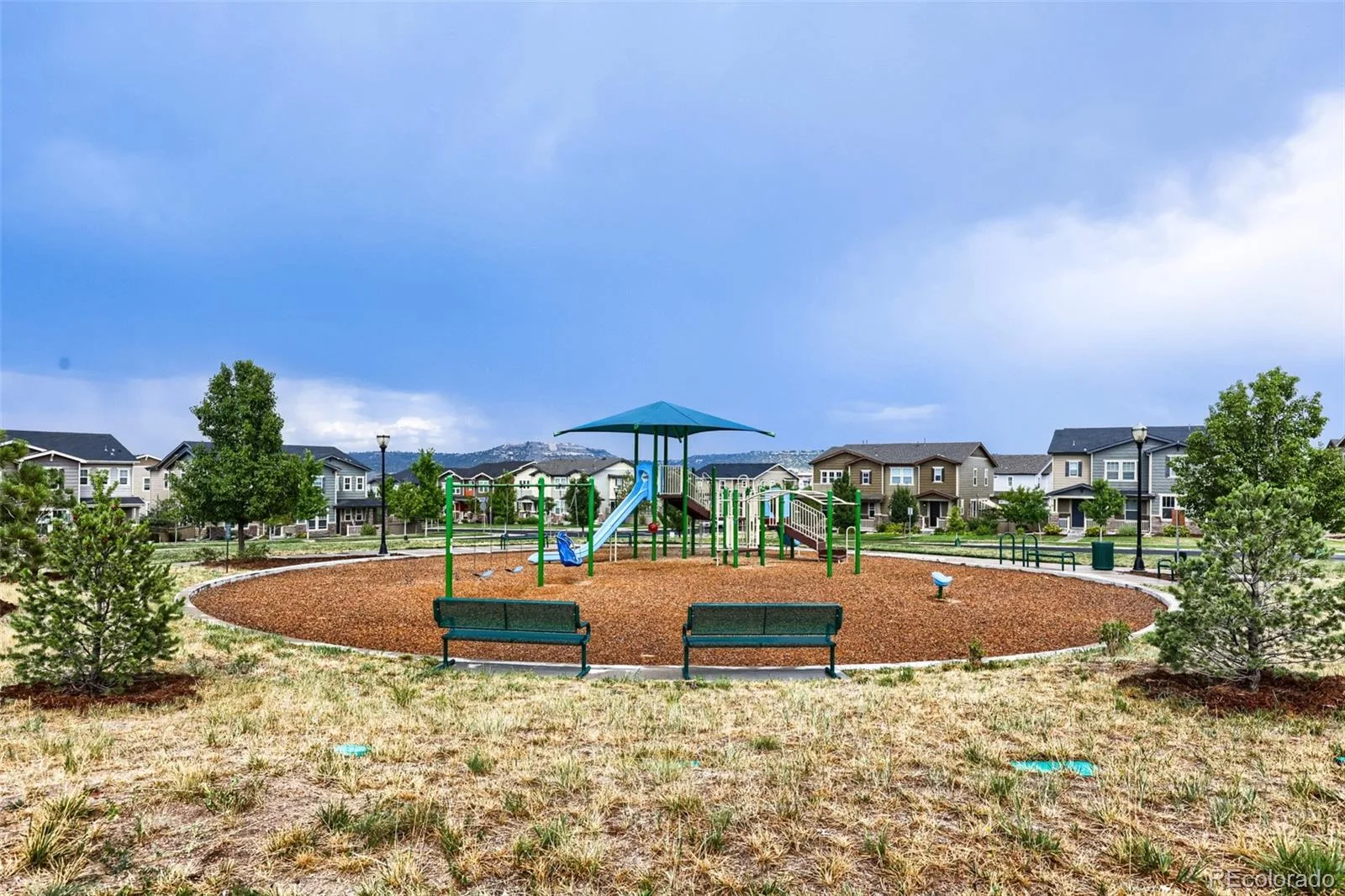 3658 Happyheart Way Castle Rock CO 80109 | MLS #REC7185415 08132026175107 1600 25
