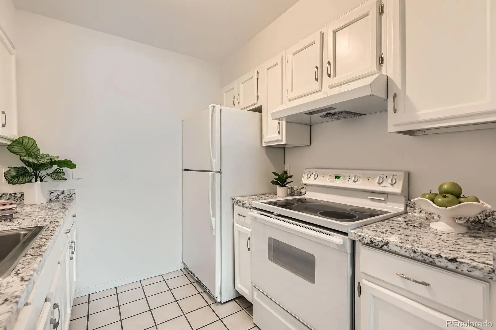 02032026034713 1600 5