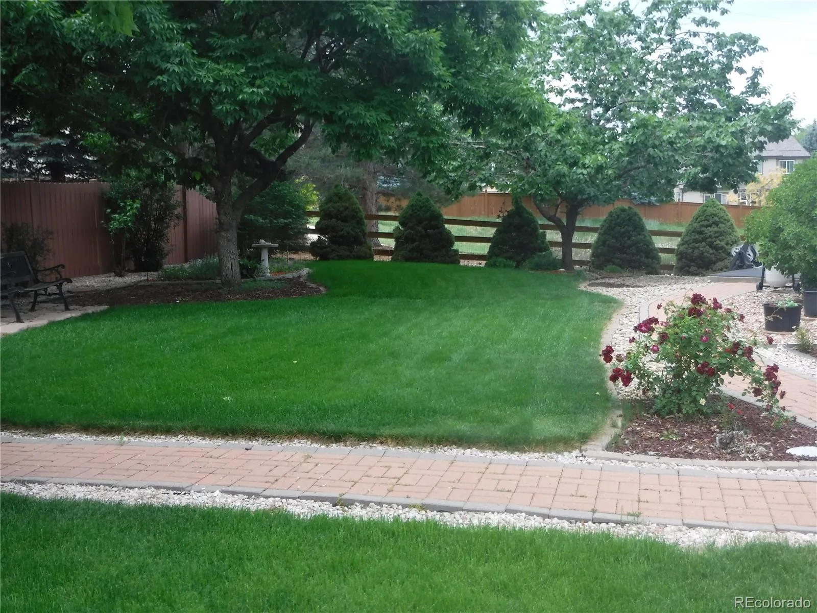 6690 W 98th Place Broomfield CO 80021 MLS #REC7197023 06102026193725 1600 19