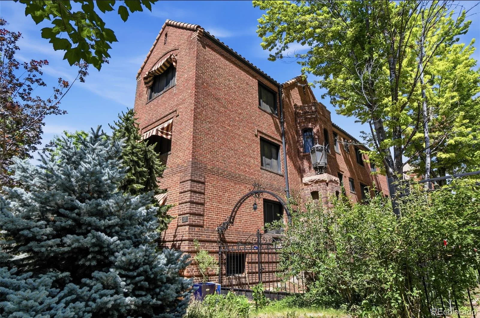 820 N Humboldt Street #3 Denver CO 80218 MLS #REC7198600 06242026223951 1600 1