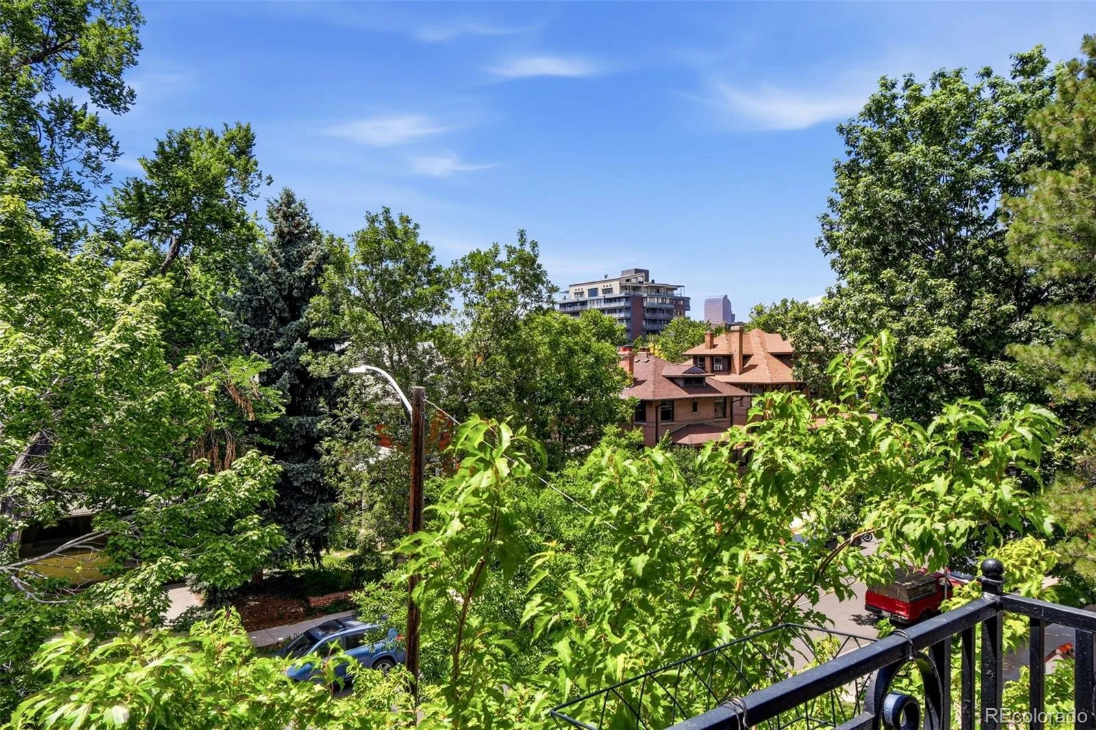 820 N Humboldt Street #3 Denver CO 80218 MLS #REC7198600 06242026223951 1600 12