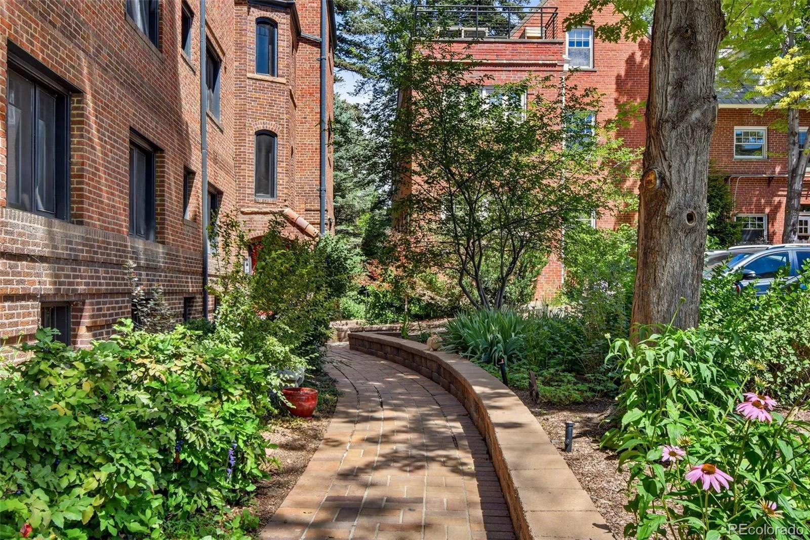 820 N Humboldt Street #3 Denver CO 80218 MLS #REC7198600 06242026223951 1600 4