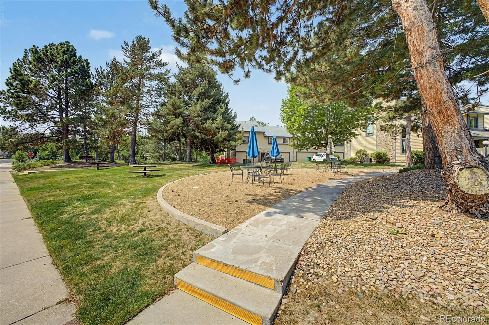 8790 Allison Drive #F Arvada CO 80005 | MLS #REC7201746 06272026005017 1600 32