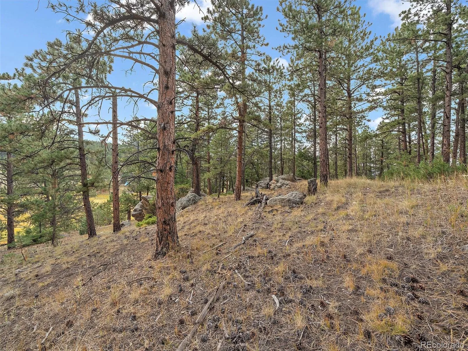 Cragmont Drive Evergreen CO 80439 MLS #REC7203463 05092026031112 1600 15