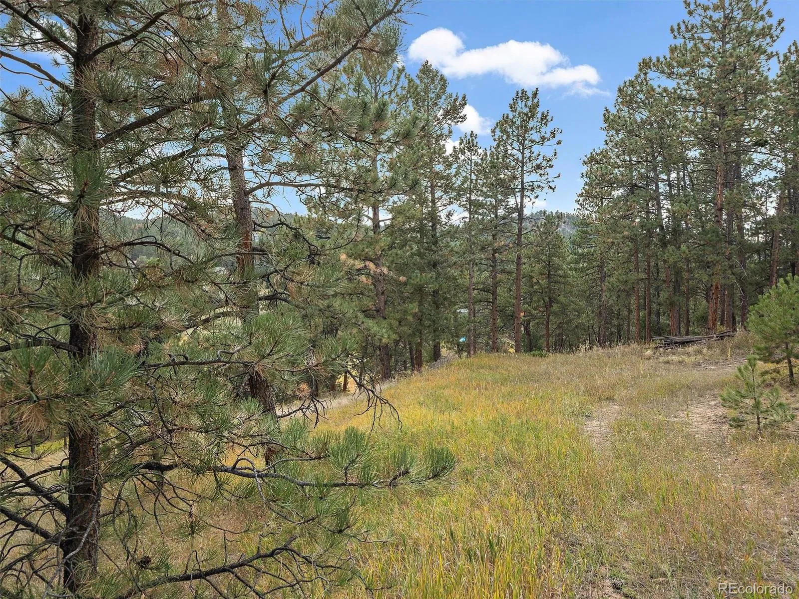 Cragmont Drive Evergreen CO 80439 MLS #REC7203463 05092026031112 1600 17