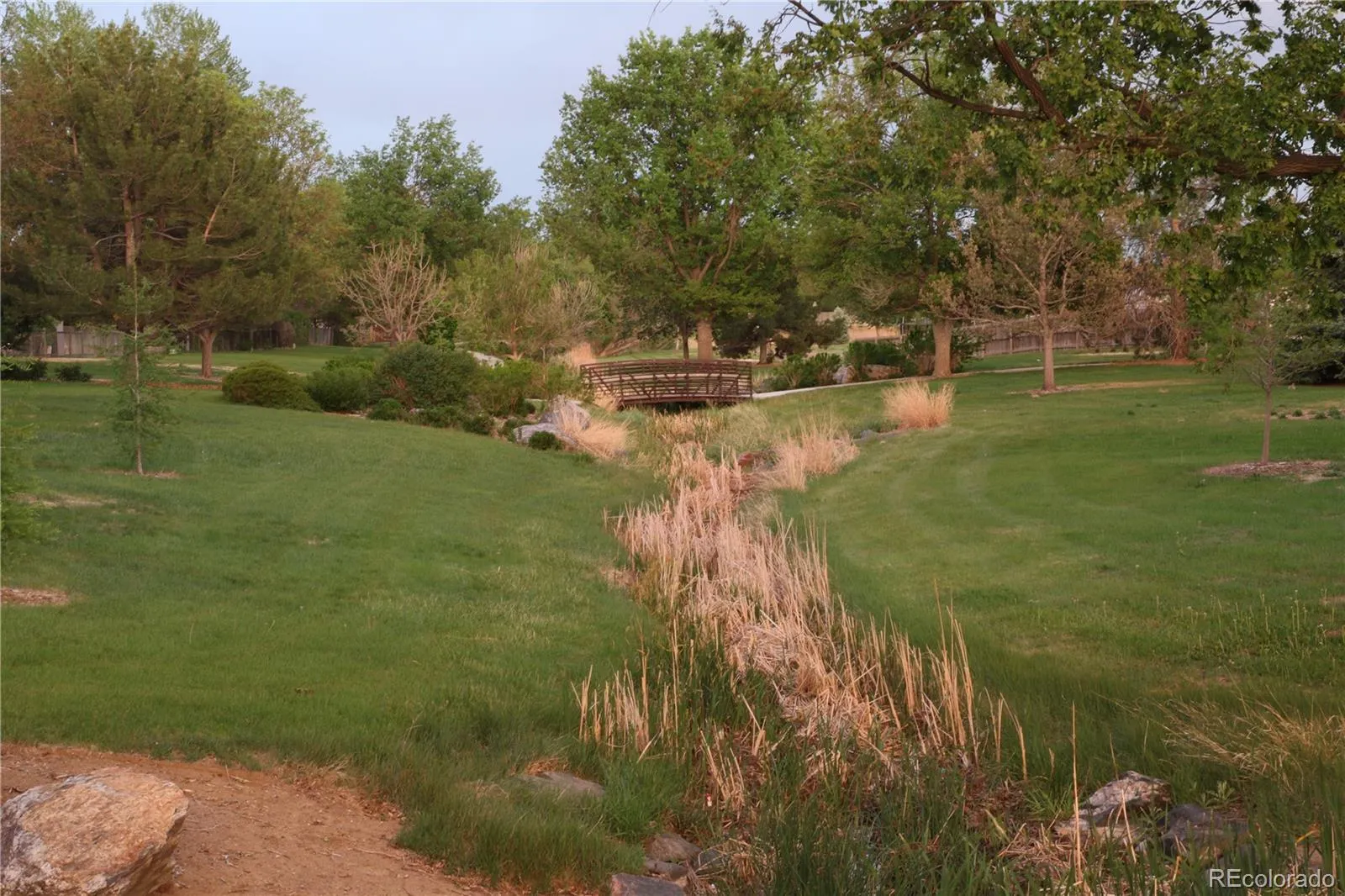 1508 Daphne Street Broomfield CO 80020 MLS #REC7204270 05232026095513 1600 5