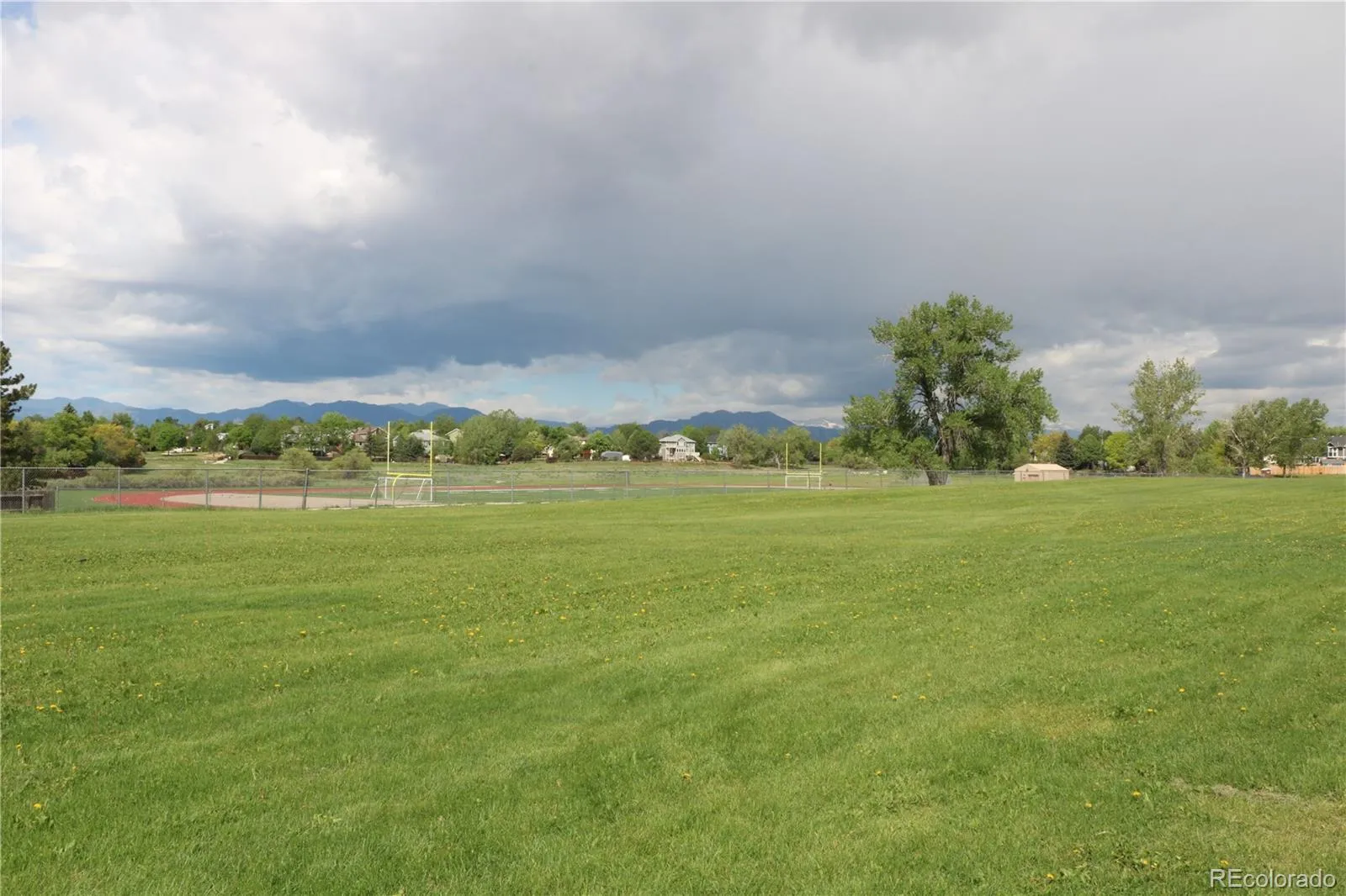 1508 Daphne Street Broomfield CO 80020 MLS #REC7204270 05232026095513 1600 7