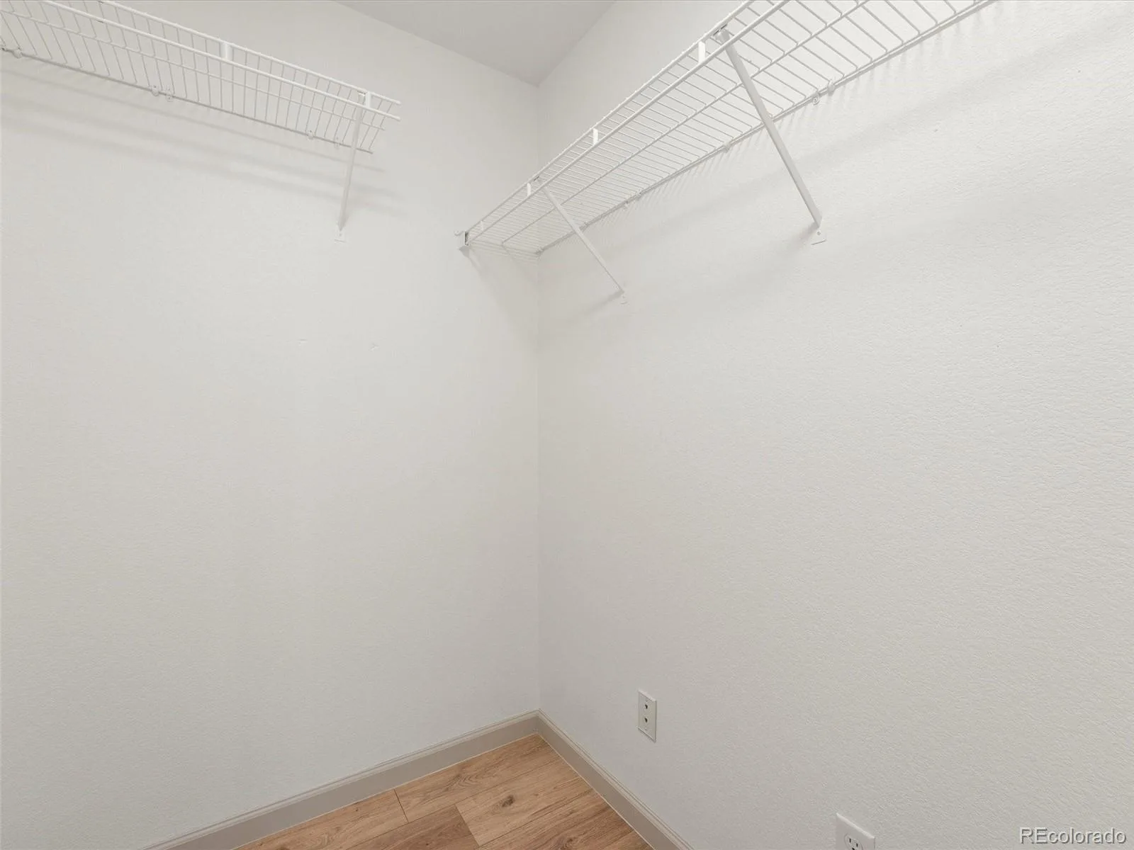 3356 S Nelson Street Lakewood CO 80227 | MLS #REC7218729 08272026144316 1600 28