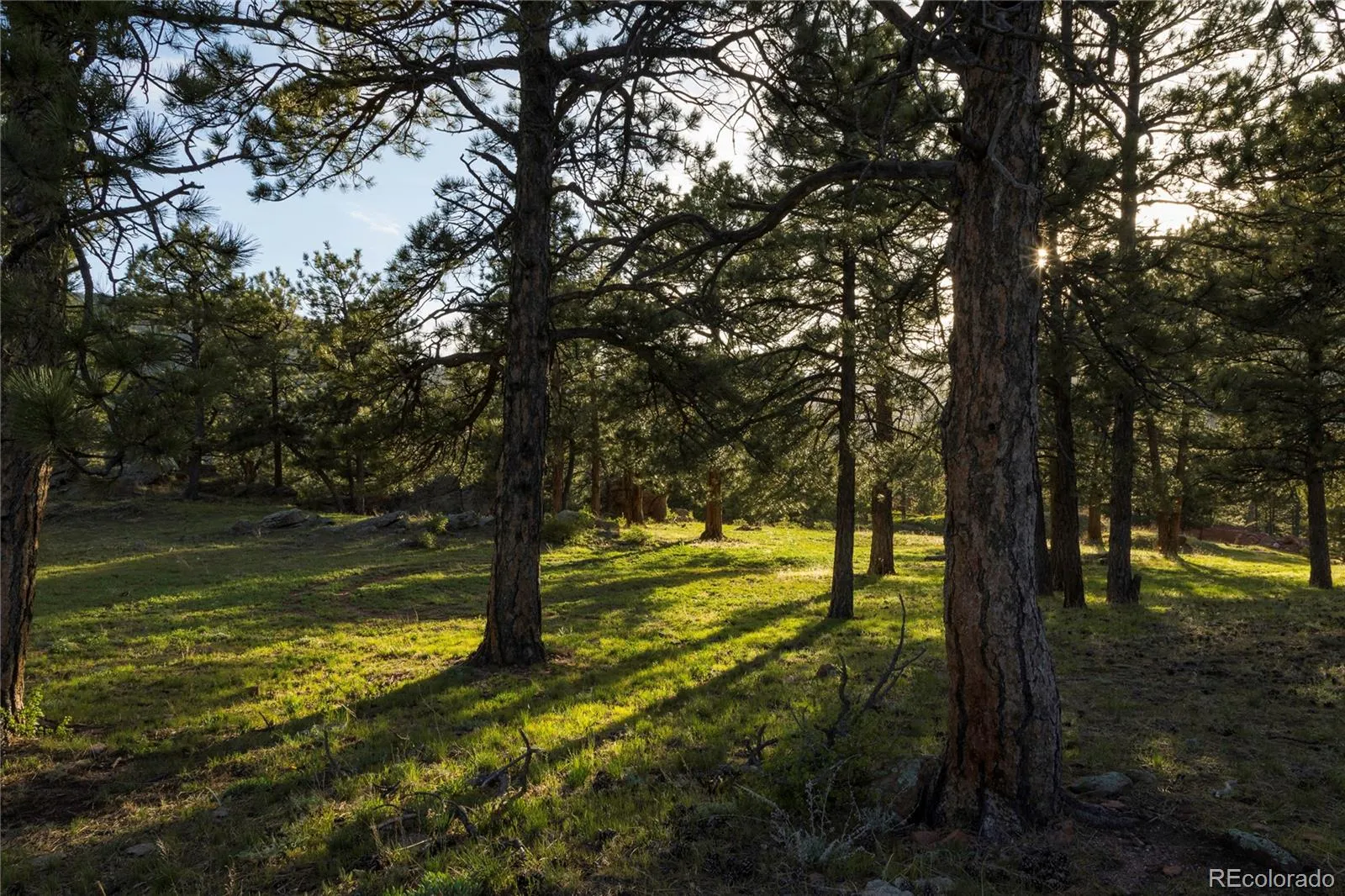 73 Canyon Pines Drive Arvada CO 80403 | MLS #REC7222167 04292026190645 1600 10