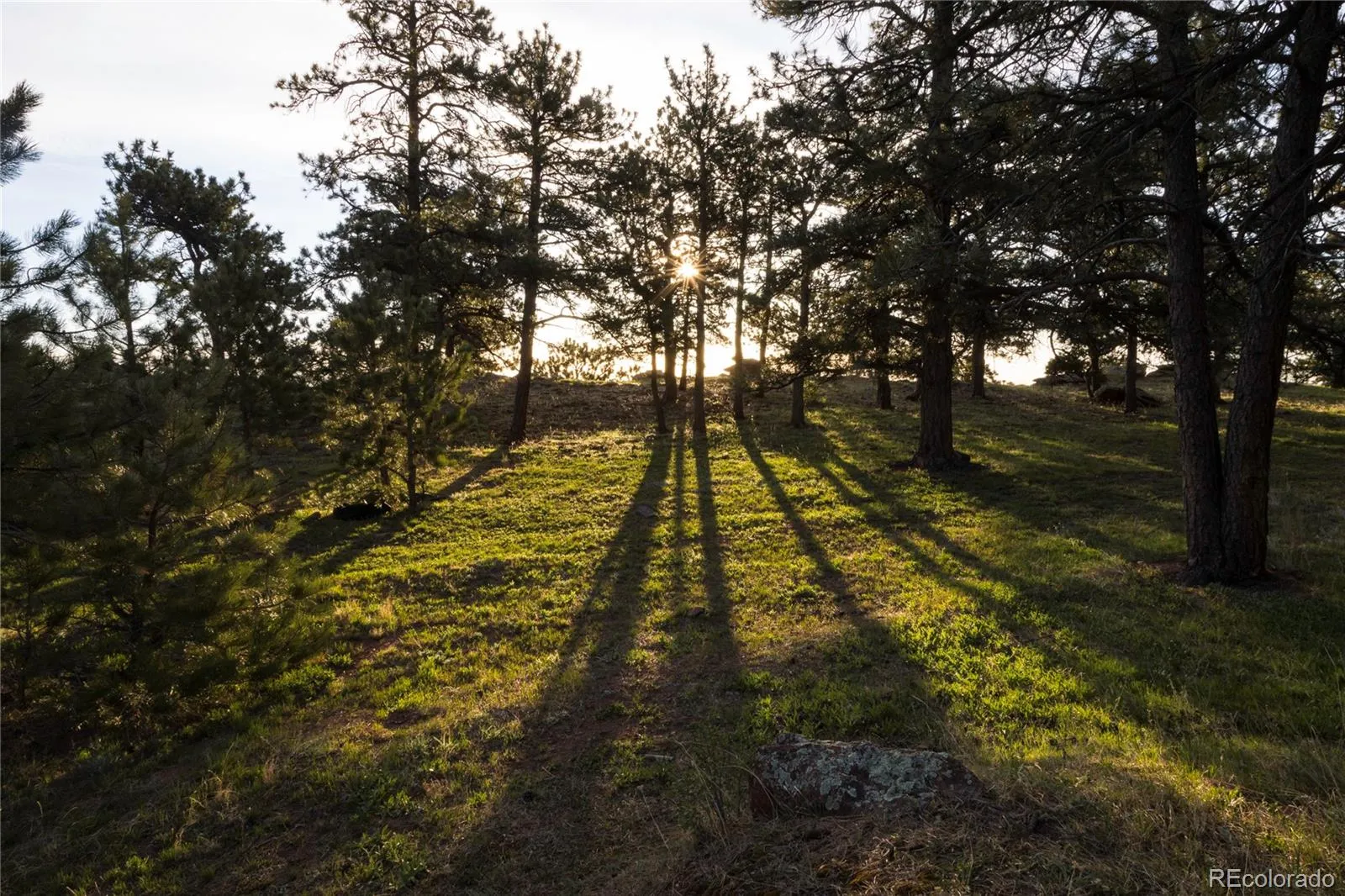 73 Canyon Pines Drive Arvada CO 80403 | MLS #REC7222167 04292026190645 1600 8