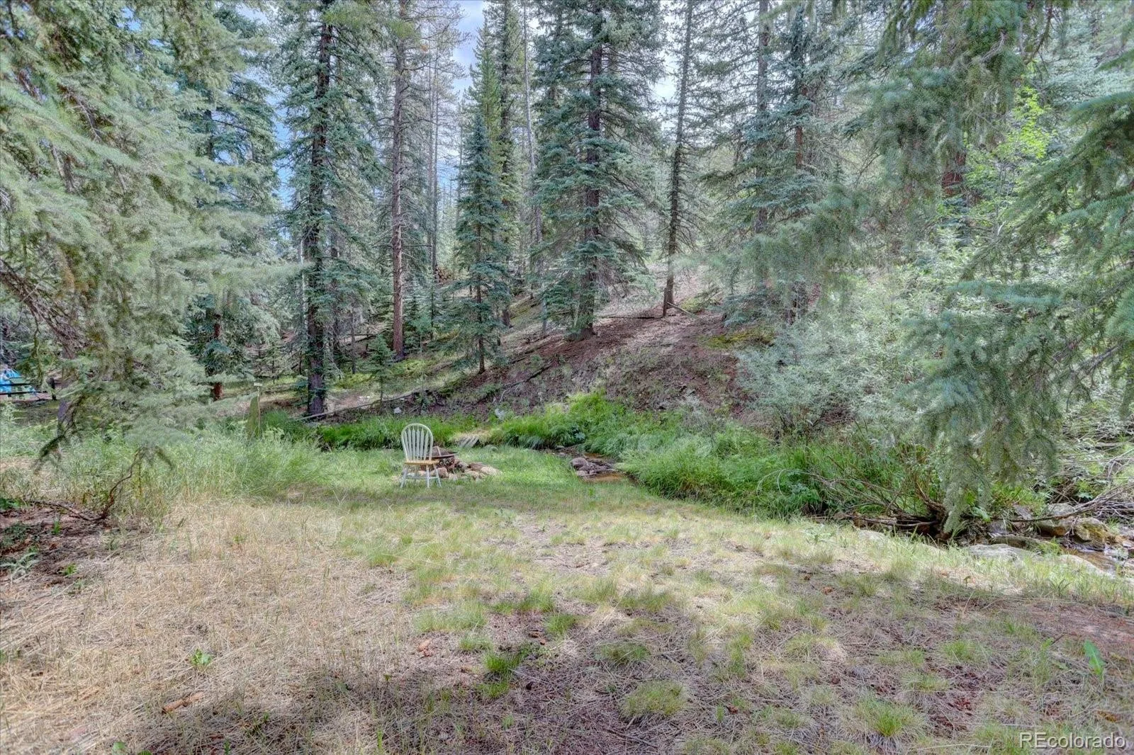 8226 S Brook Forest Road Evergreen CO 80439 | MLS #REC7233288 07242026214212 1600 25