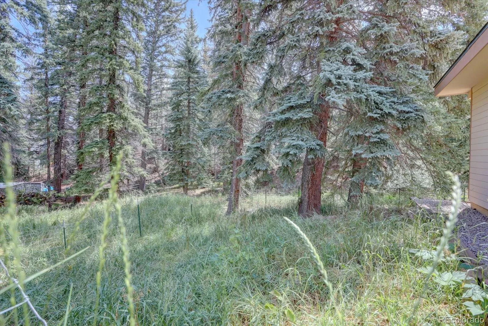 8226 S Brook Forest Road Evergreen CO 80439 | MLS #REC7233288 07242026214212 1600 34