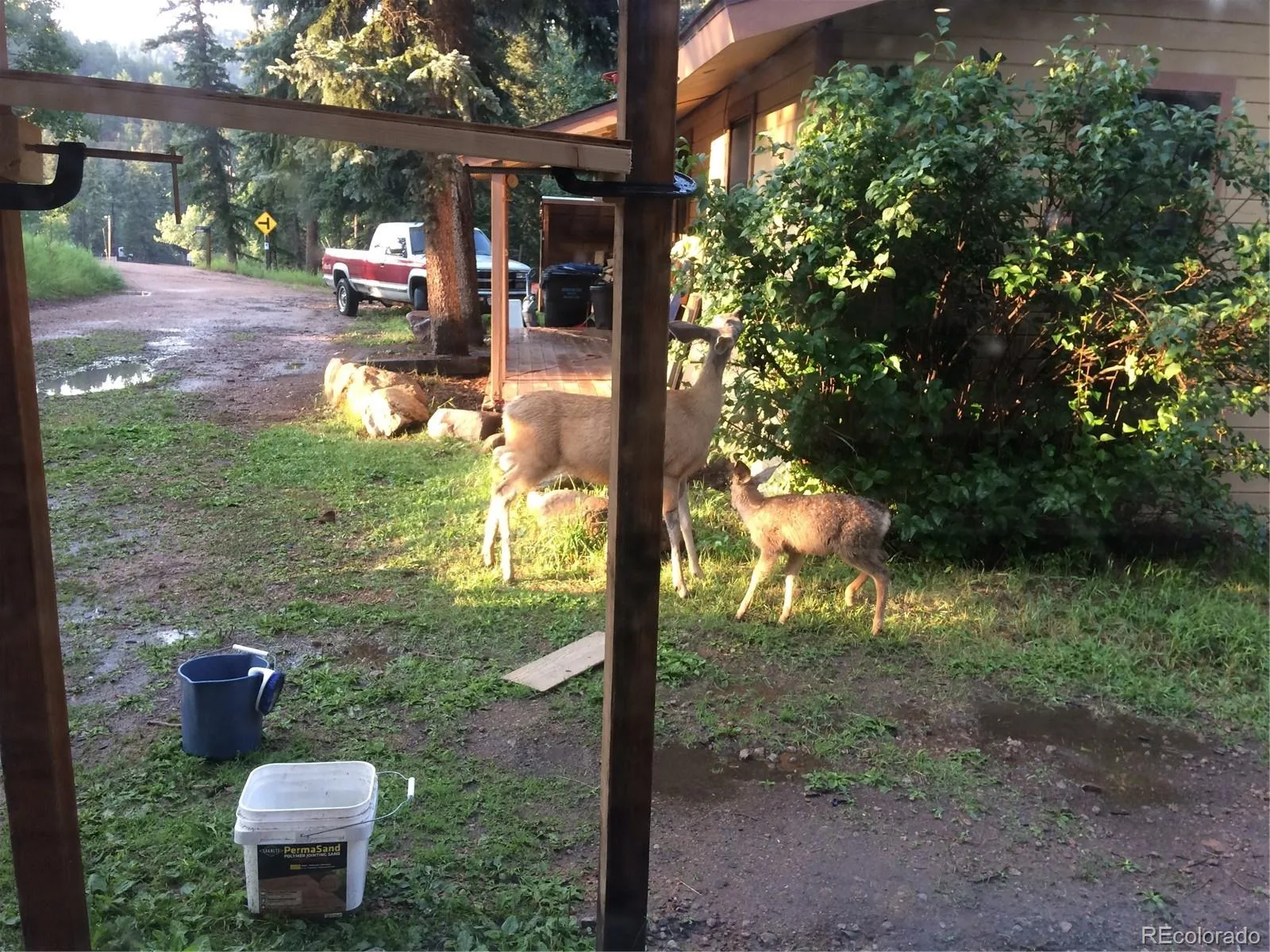 8226 S Brook Forest Road Evergreen CO 80439 | MLS #REC7233288 07242026214212 1600 45