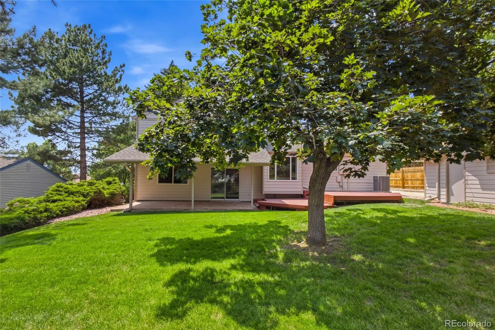 7658 Quail Street Arvada CO 80005 MLS #REC7240391 06252026223035 1600 32