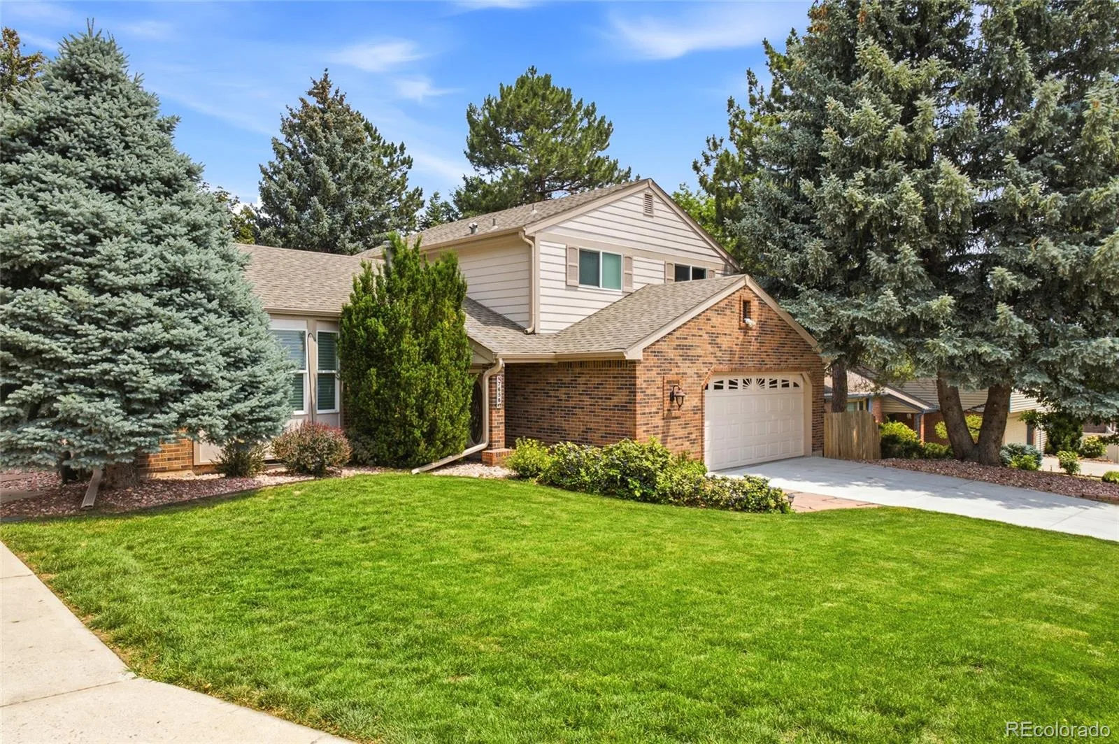 7658 Quail Street Arvada CO 80005 MLS #REC7240391 06252026223035 1600 38