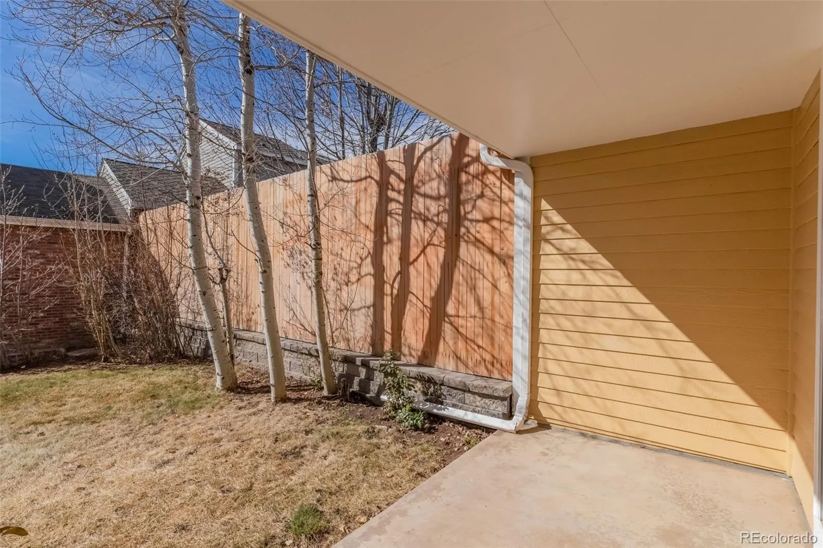 5339 S Cody Street Littleton CO 80123 | MLS #REC7242222 08142026194434 1600 29