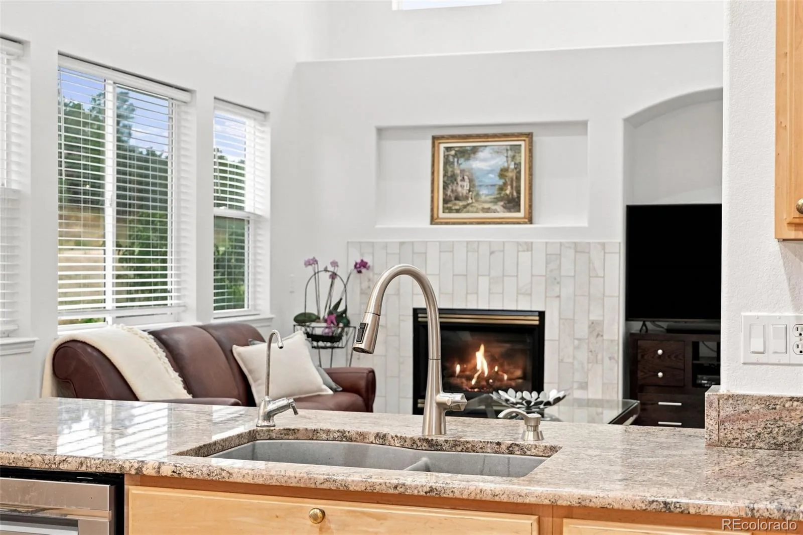 10574 Jaguar Point Lone Tree CO 80124 | MLS #REC7253641 08012026014011 1600 17