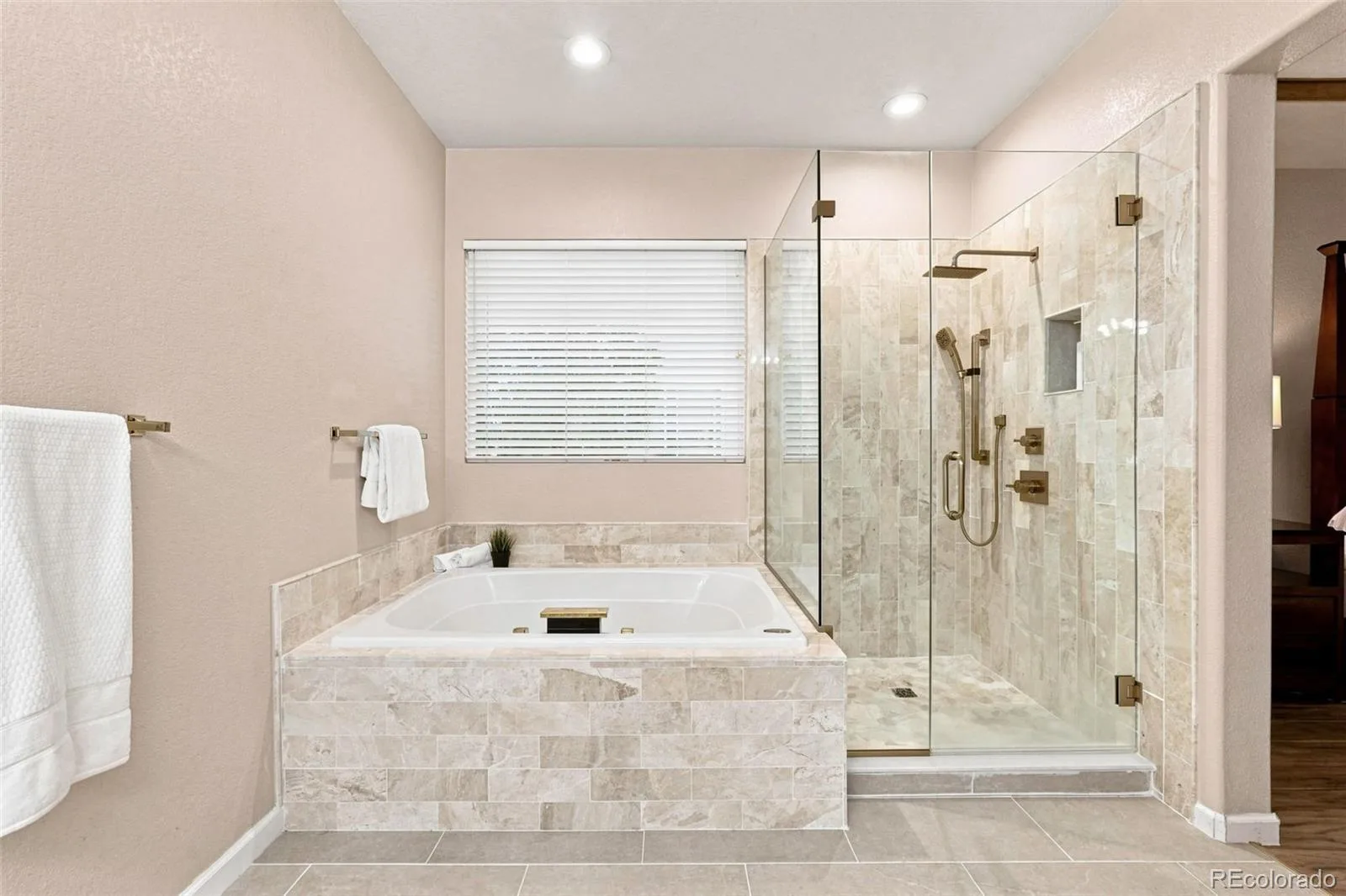 10574 Jaguar Point Lone Tree CO 80124 | MLS #REC7253641 08012026014011 1600 24