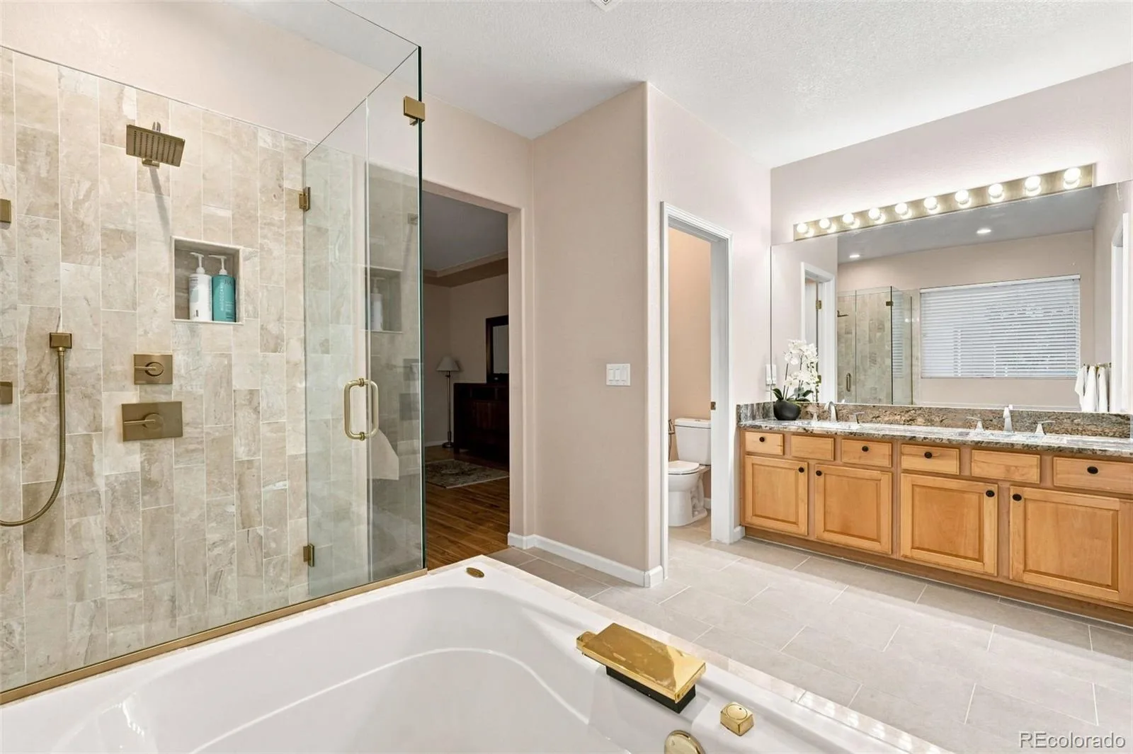 10574 Jaguar Point Lone Tree CO 80124 | MLS #REC7253641 08012026014011 1600 26