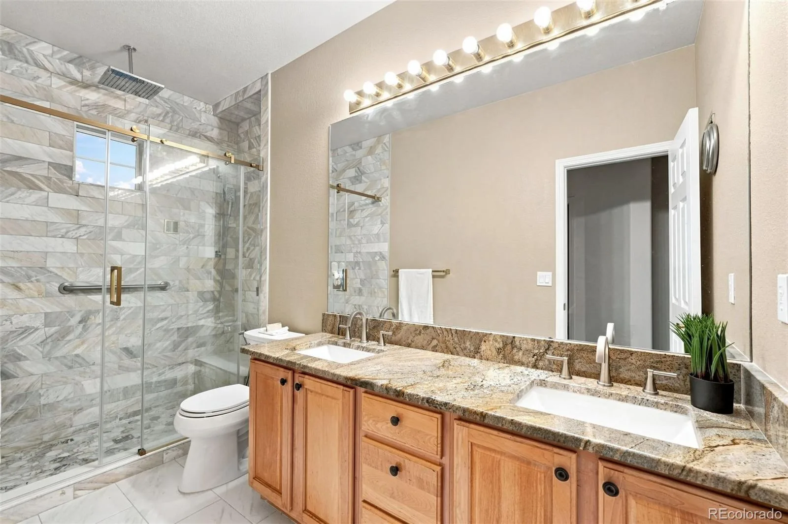 10574 Jaguar Point Lone Tree CO 80124 | MLS #REC7253641 08012026014011 1600 32