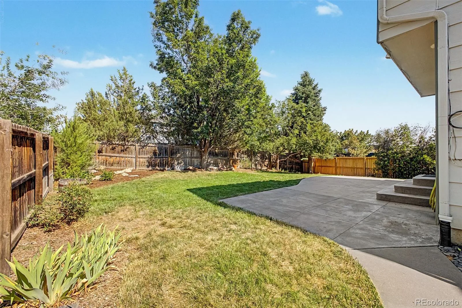 12520 Eliot Street Broomfield CO 80020 | MLS #REC7259225 07172026002639 1600 31