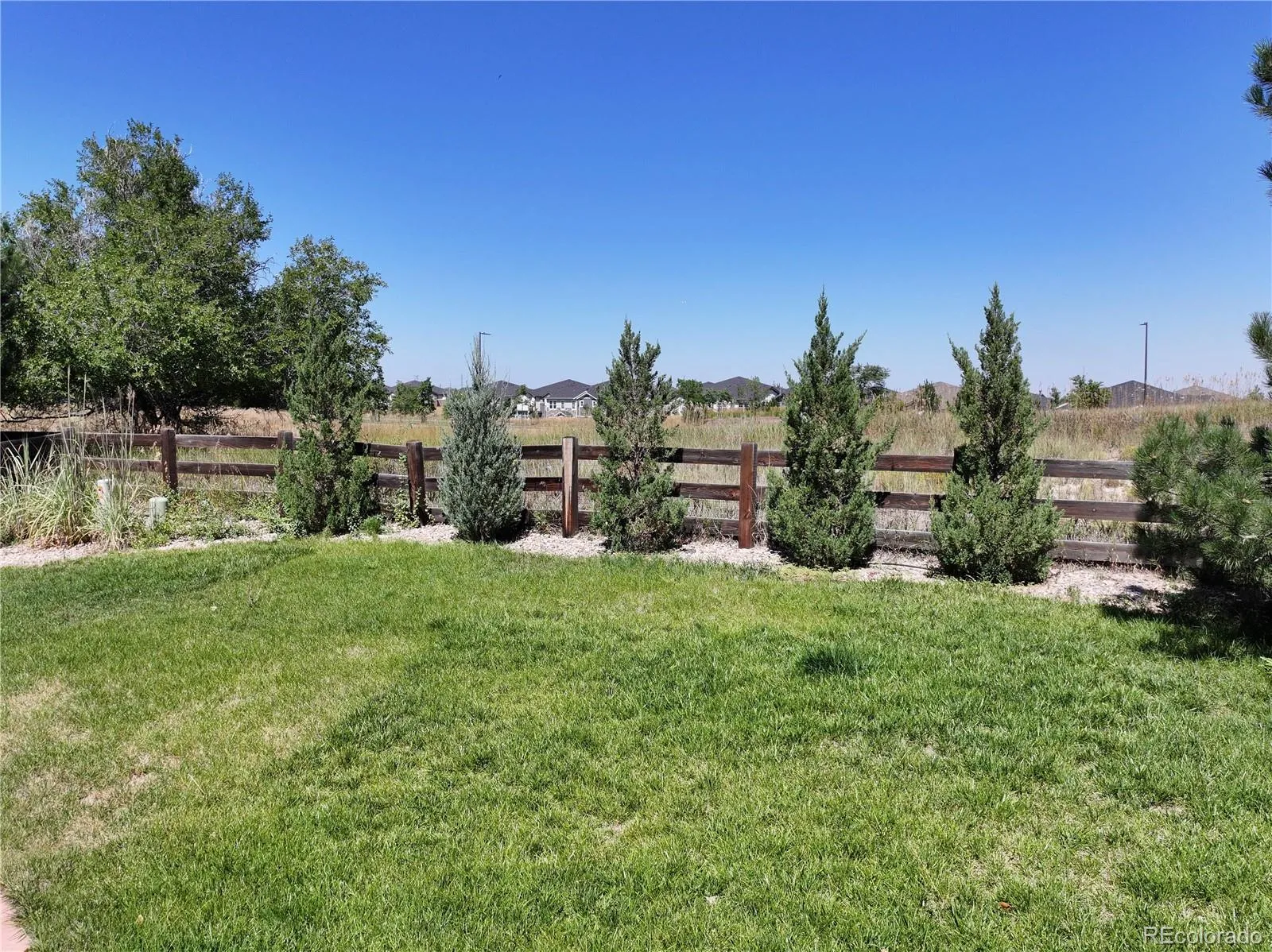 24871 E Ontario Drive Aurora CO 80016 MLS #REC7259798 04172026035349 1600 4