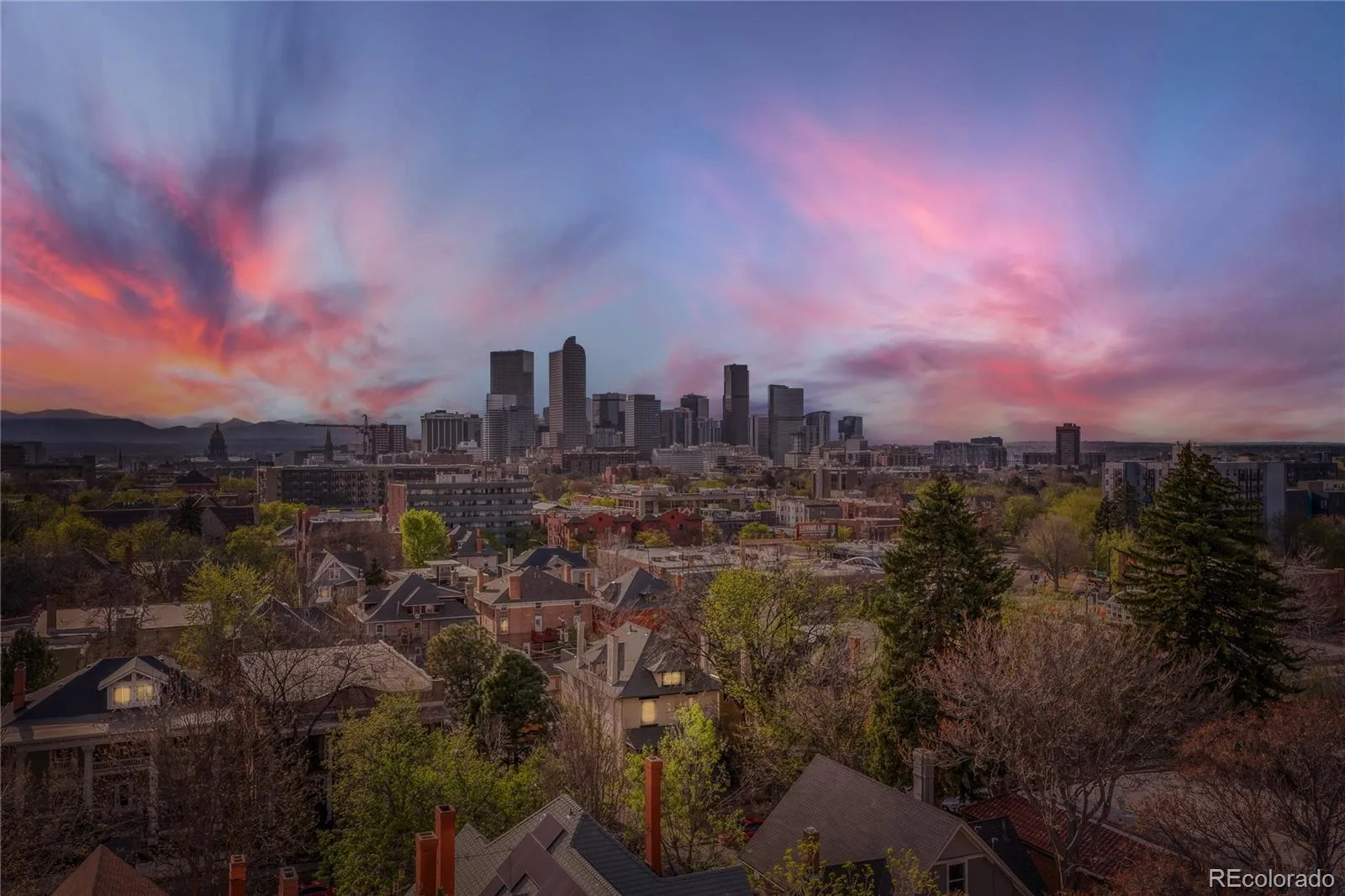 1433 N Williams Street #1007 Denver CO 80218 MLS #REC7267110 06032026012531 1600 0
