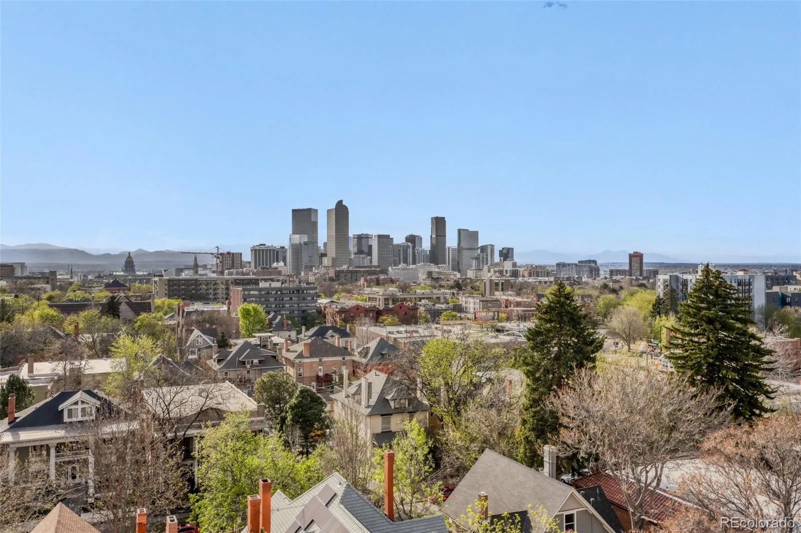 1433 N Williams Street #1007 Denver CO 80218 MLS #REC7267110 06032026012531 1600 2