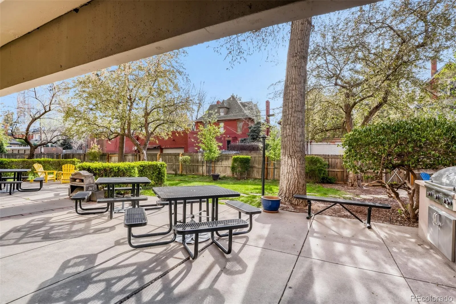 1433 N Williams Street #1007 Denver CO 80218 MLS #REC7267110 06032026012531 1600 24
