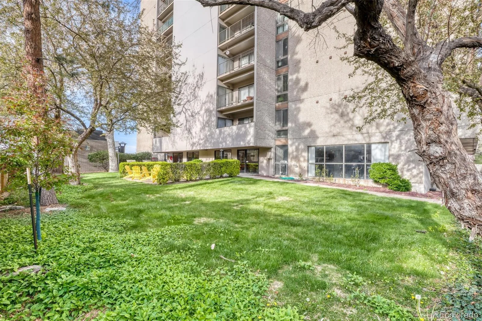 1433 N Williams Street #1007 Denver CO 80218 MLS #REC7267110 06032026012531 1600 26
