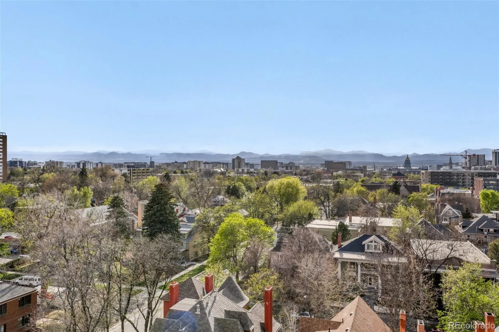 1433 N Williams Street #1007 Denver CO 80218 MLS #REC7267110 06032026012531 1600 3
