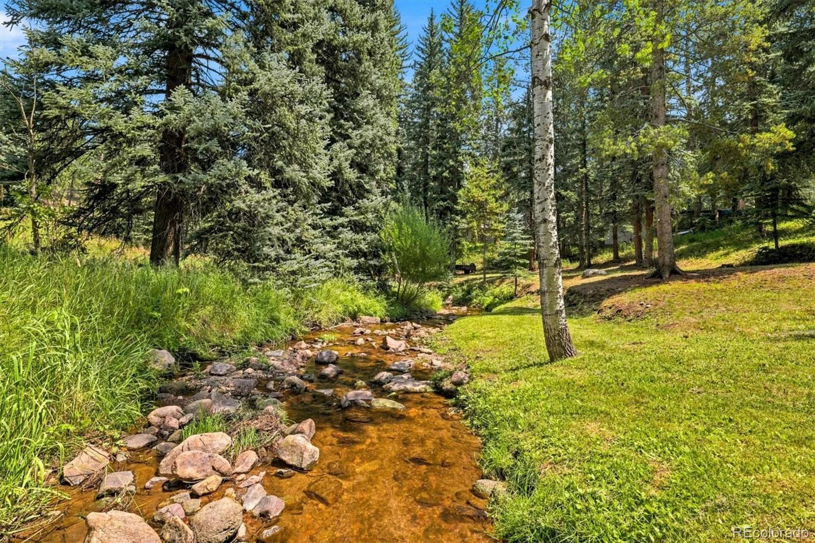 7006 S Brook Forest Road Evergreen CO 80439 | MLS #REC7270350 08122026224144 1600 3
