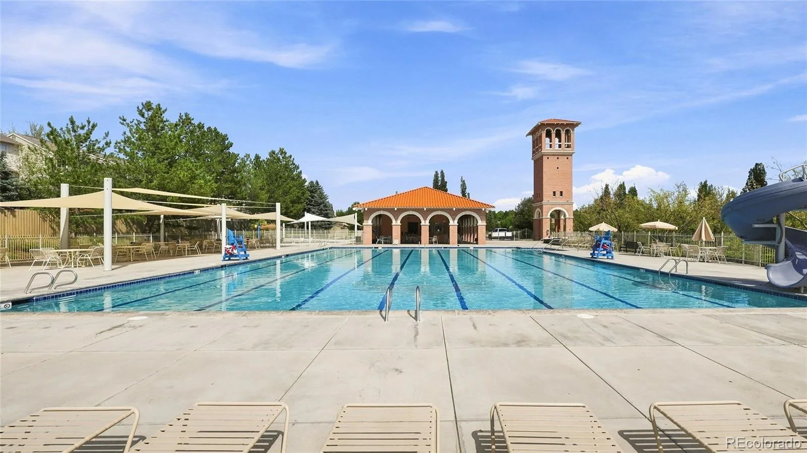 19332 E Berry Place Aurora CO 80015 | MLS #REC7279110 08192026232523 1600 35