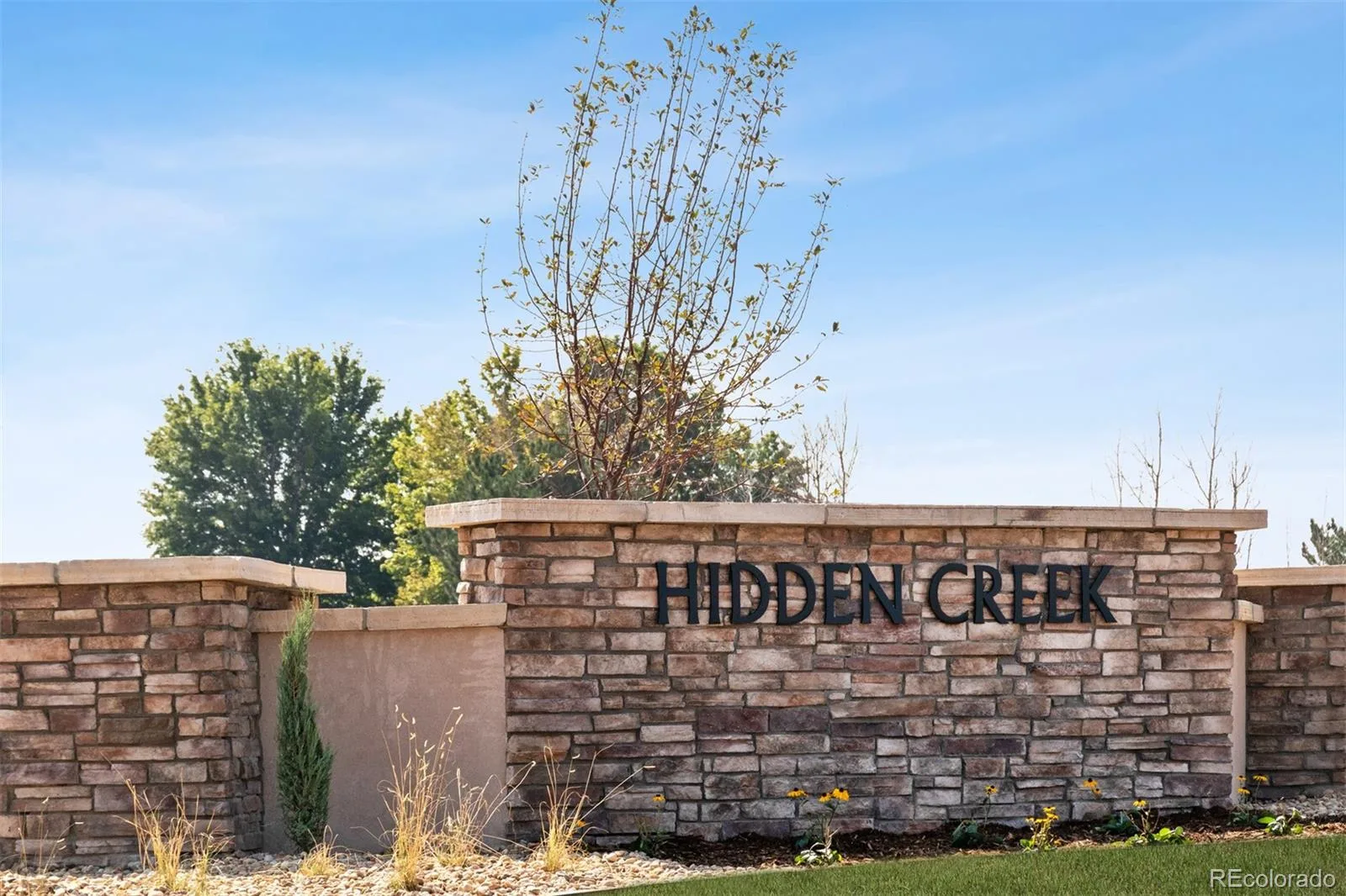 7208 Dolores Avenue Frederick CO 80530 | MLS #REC7283595 08252026174528 1600 2