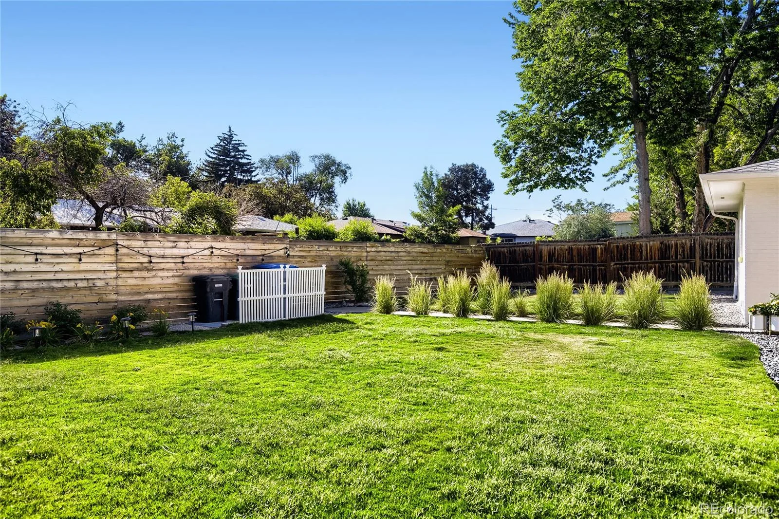 1241 Vivian Street Longmont CO 80501 MLS #REC7284516 06162026015308 1600 26