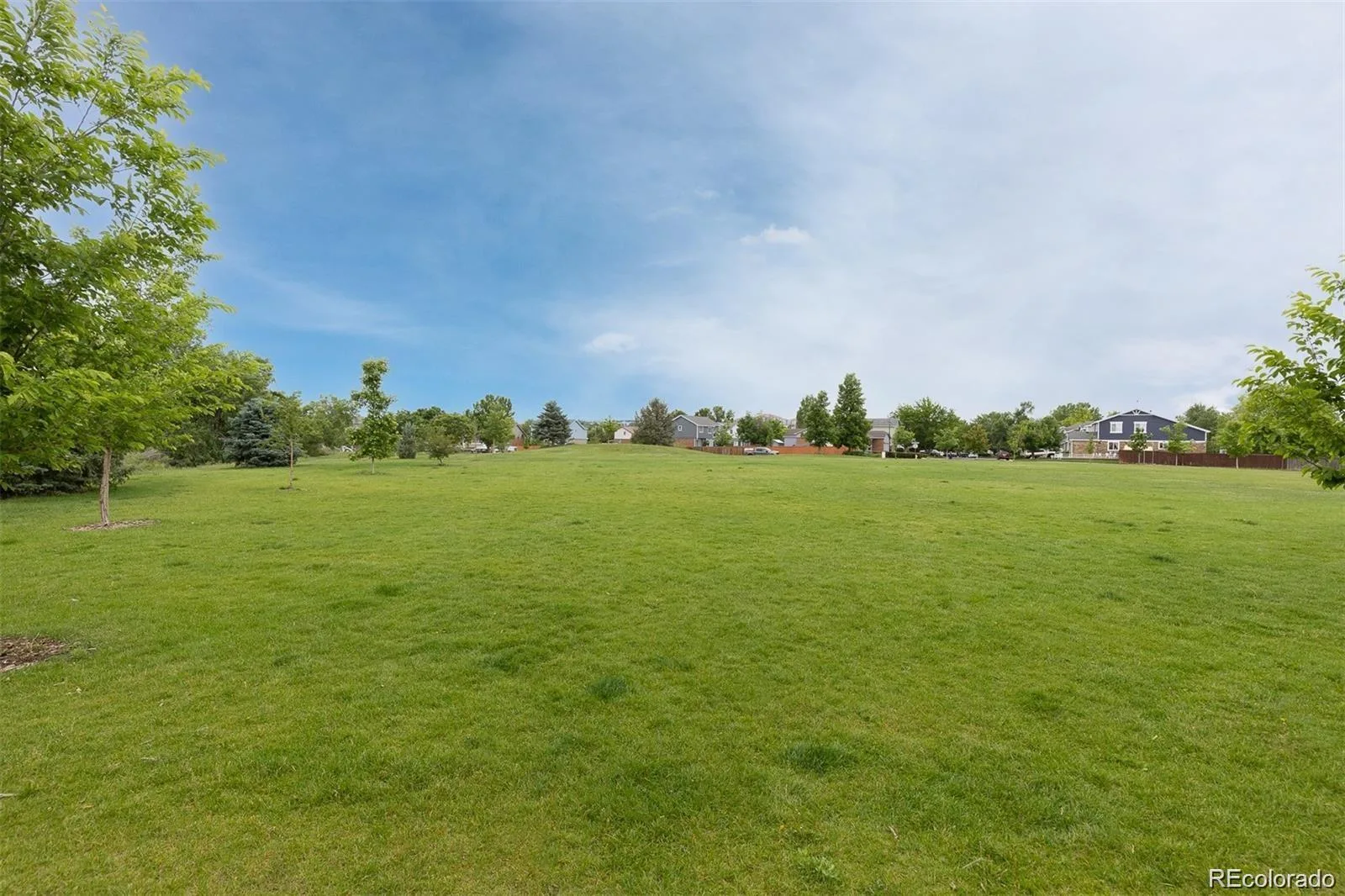 2826 Dharma Avenue Broomfield CO 80020 MLS #REC7285179 05292026210953 1600 41
