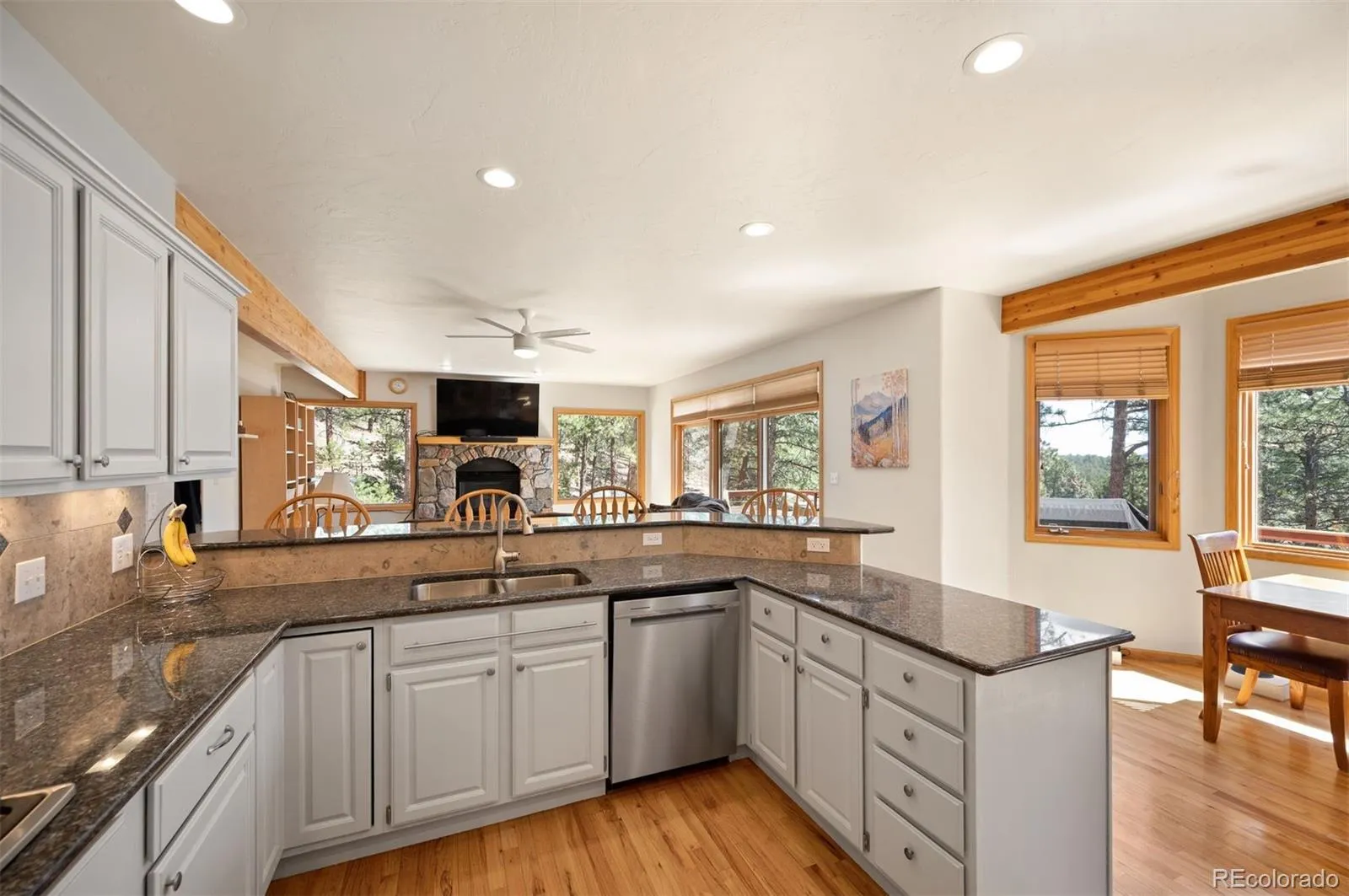 29517 Gleneden Lane Evergreen CO 80439 | MLS #REC7292869 04162026161013 1600 13