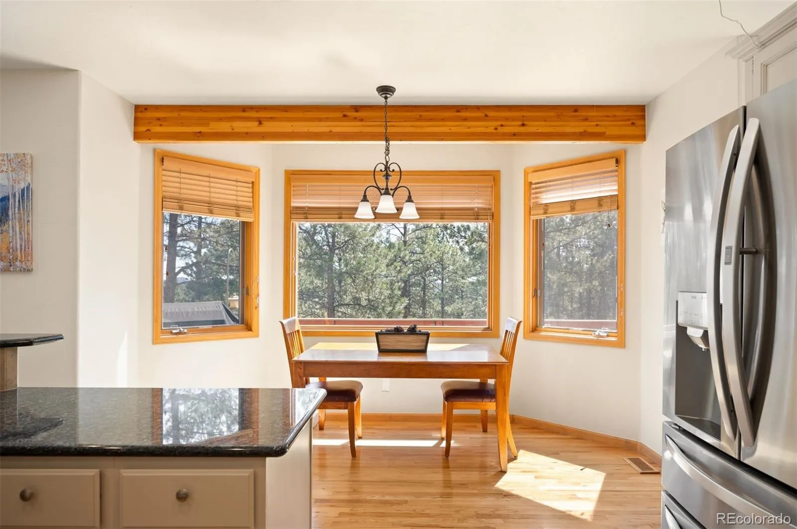 29517 Gleneden Lane Evergreen CO 80439 | MLS #REC7292869 04162026161013 1600 14