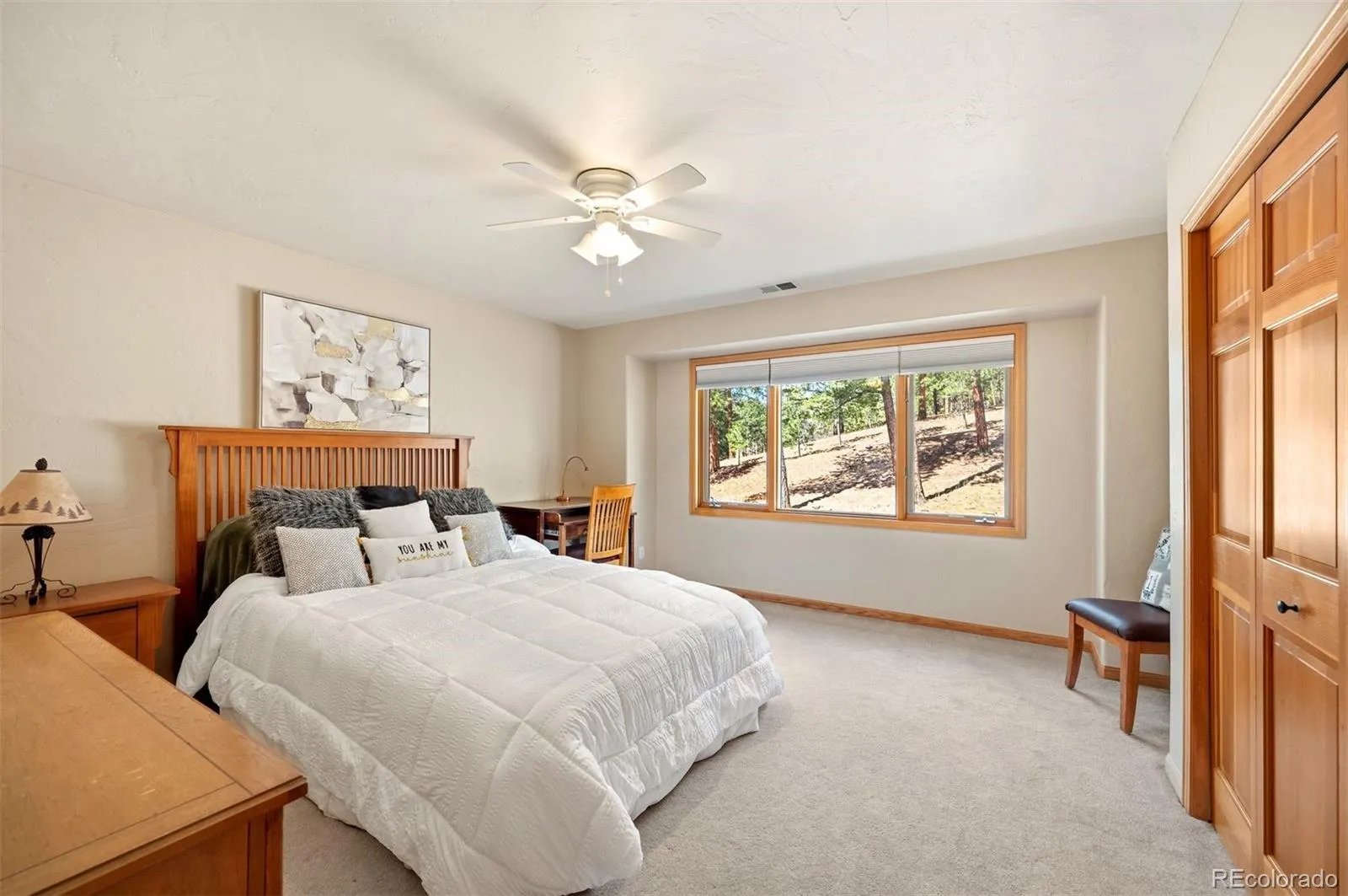 29517 Gleneden Lane Evergreen CO 80439 | MLS #REC7292869 04162026161013 1600 25