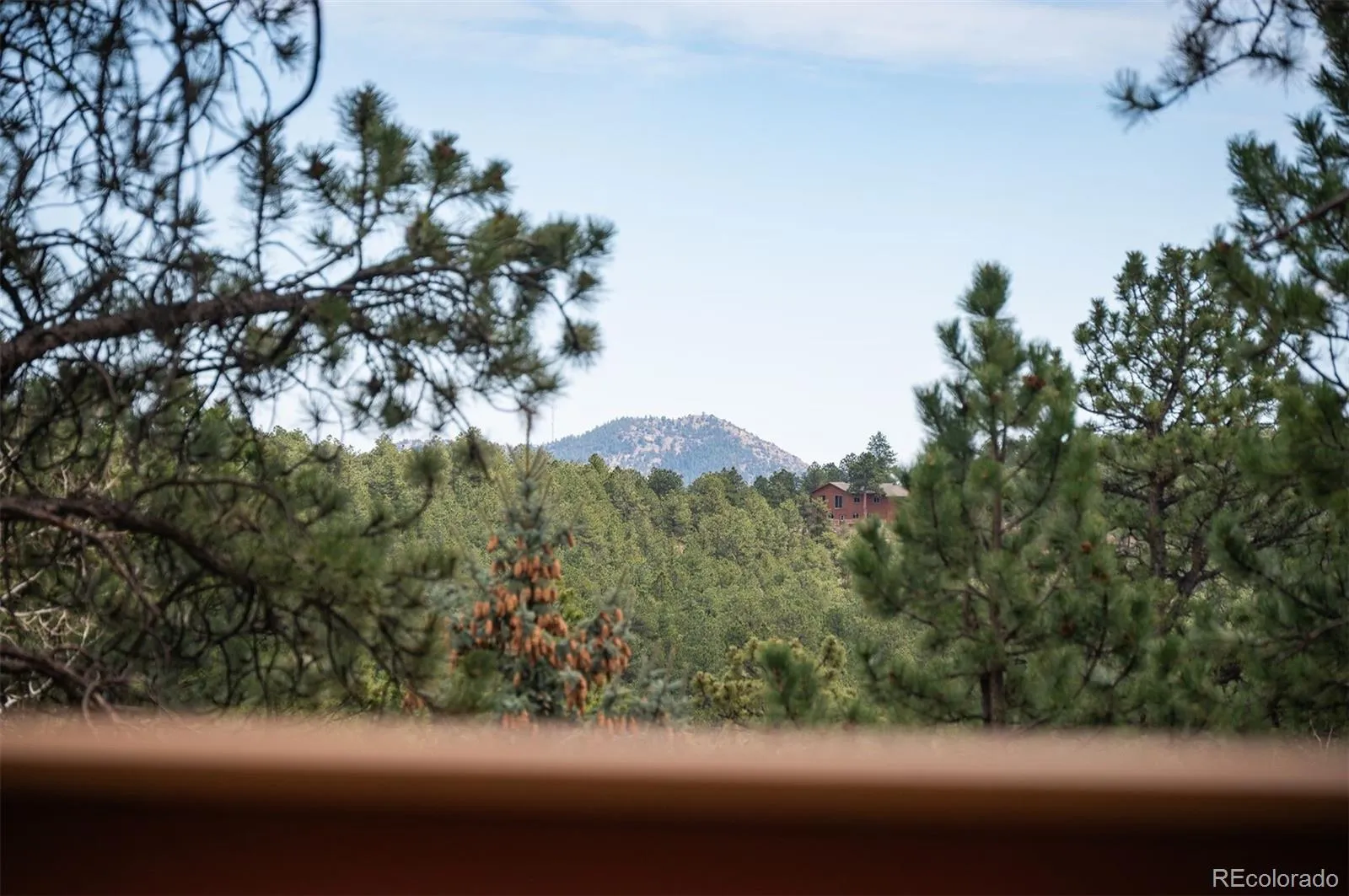 29517 Gleneden Lane Evergreen CO 80439 | MLS #REC7292869 04162026161013 1600 44