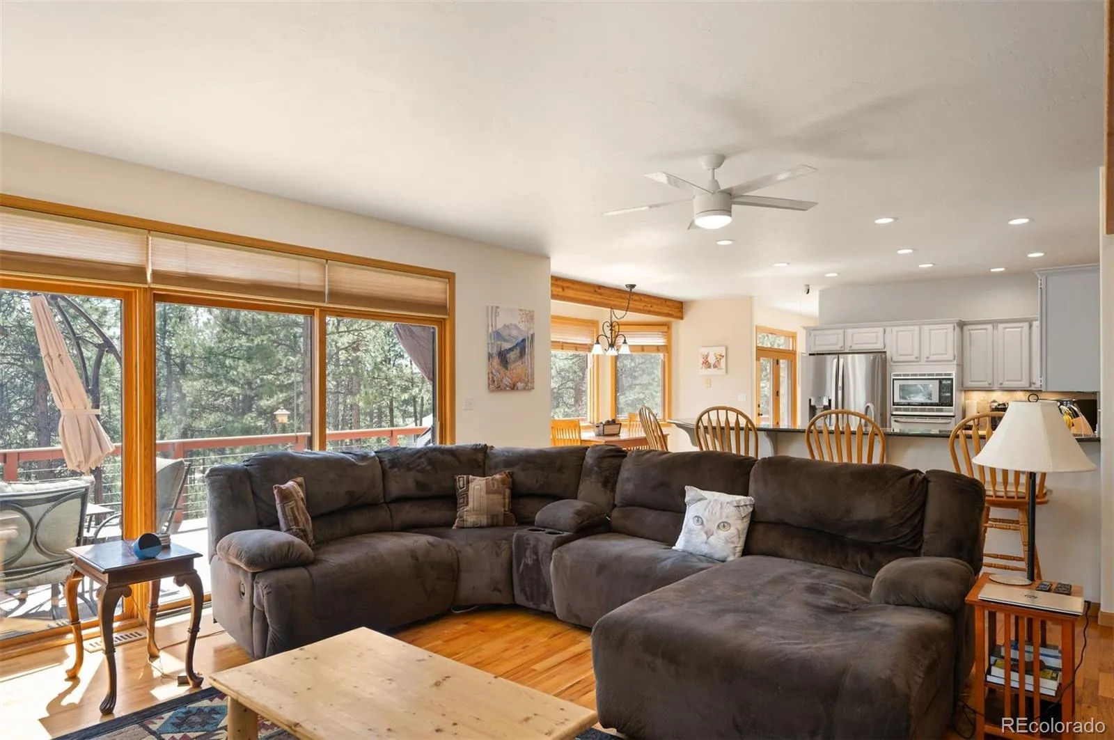 29517 Gleneden Lane Evergreen CO 80439 | MLS #REC7292869 04162026161013 1600 9