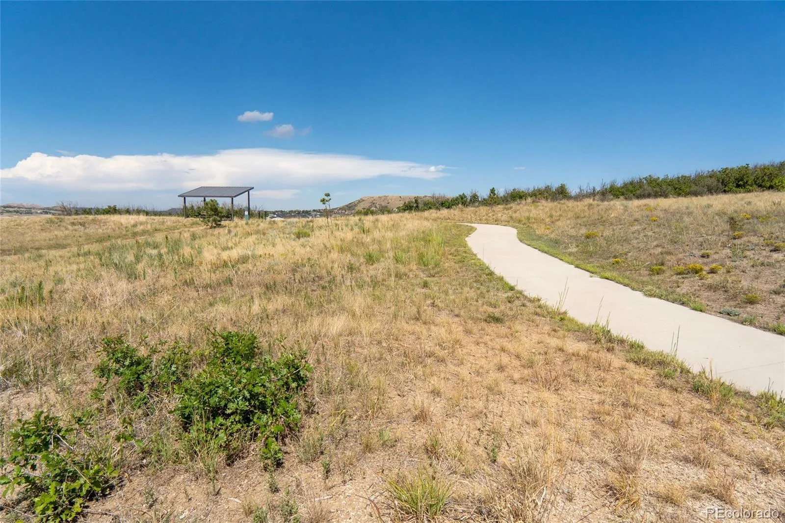 140 Leafy Aster Lane Castle Rock CO 80104 | MLS #REC7294954 08282026041202 1600 38