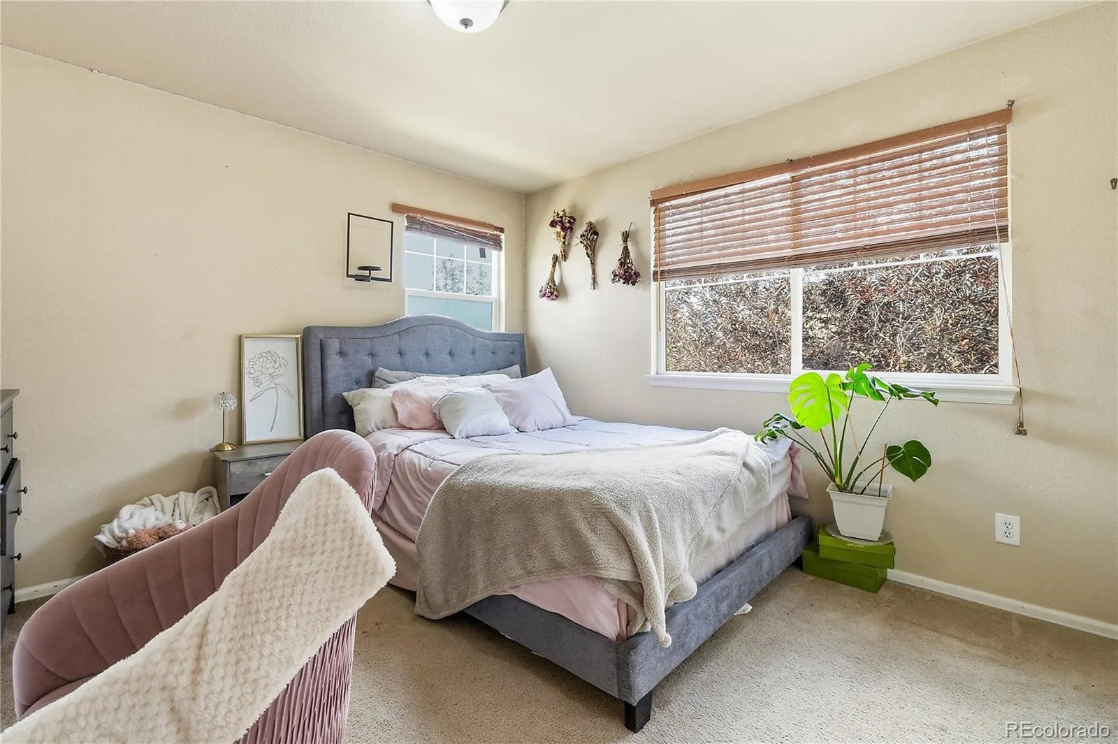 11097 Nome Street Commerce City CO 80640 | MLS #REC7301796 08282026230845 1600 10