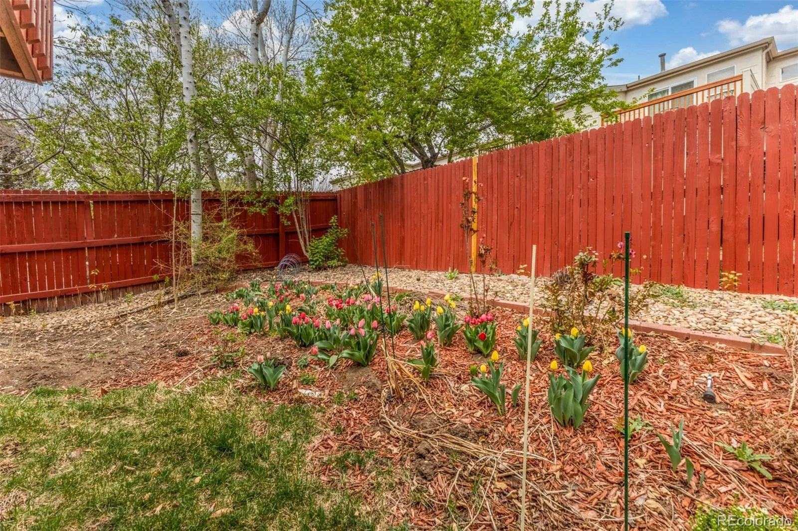 1958 S Carr Street Lakewood CO 80227 | MLS #REC7306356 05112026184108 1600 37