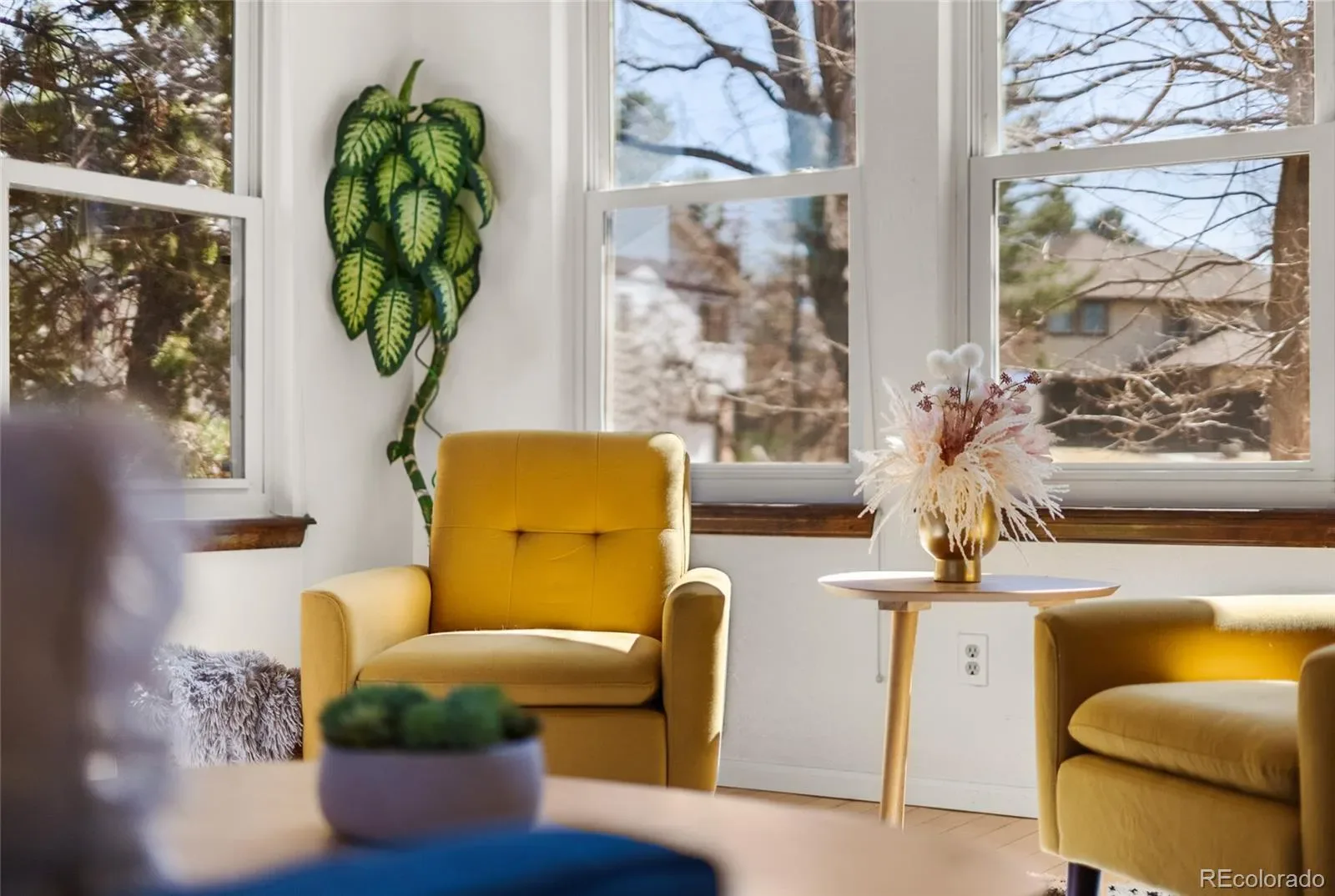 03222026002036 1600 2