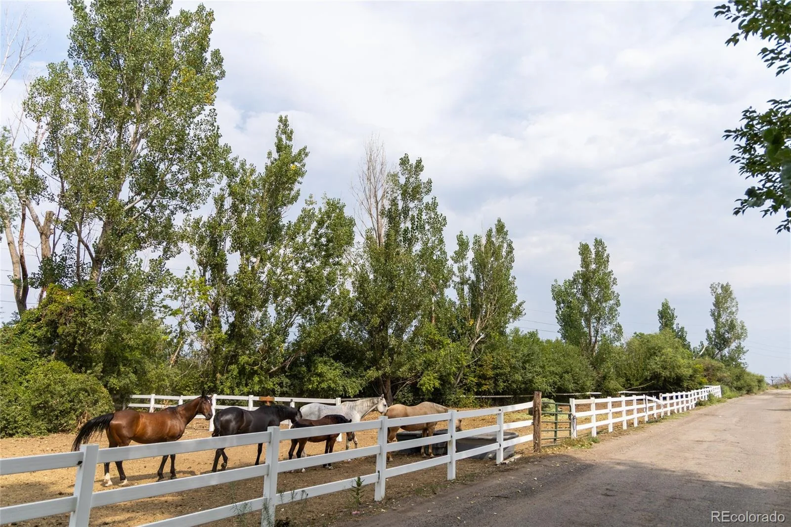 2906 W Long Circle #A Littleton CO 80120 | MLS #REC7311498 08122026223907 1600 38