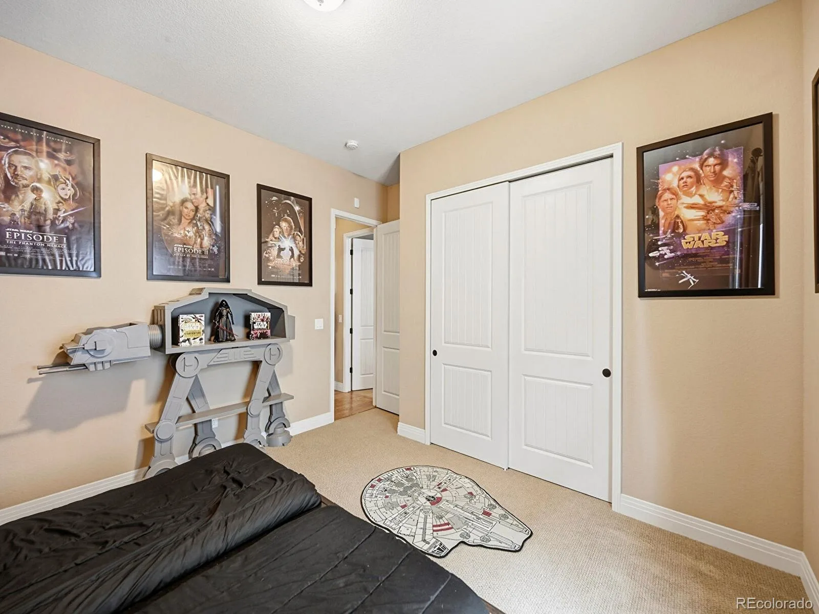 4439 Fell Mist Way Castle Rock CO 80109 MLS #REC7311668 07132026203638 1600 16
