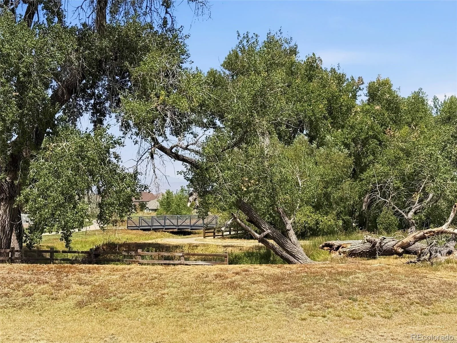 14185 Harrison Street Thornton CO 80602 | MLS #REC7314508 08242026182958 1600 39
