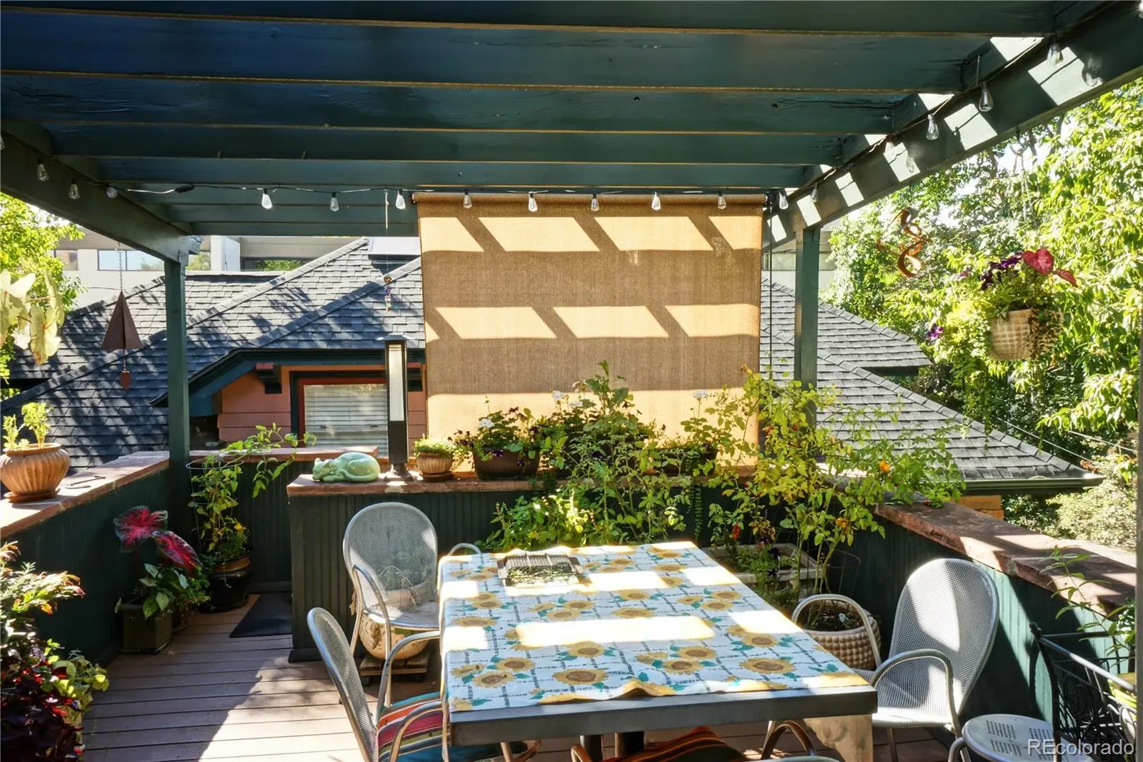 03252026202528 1600 24